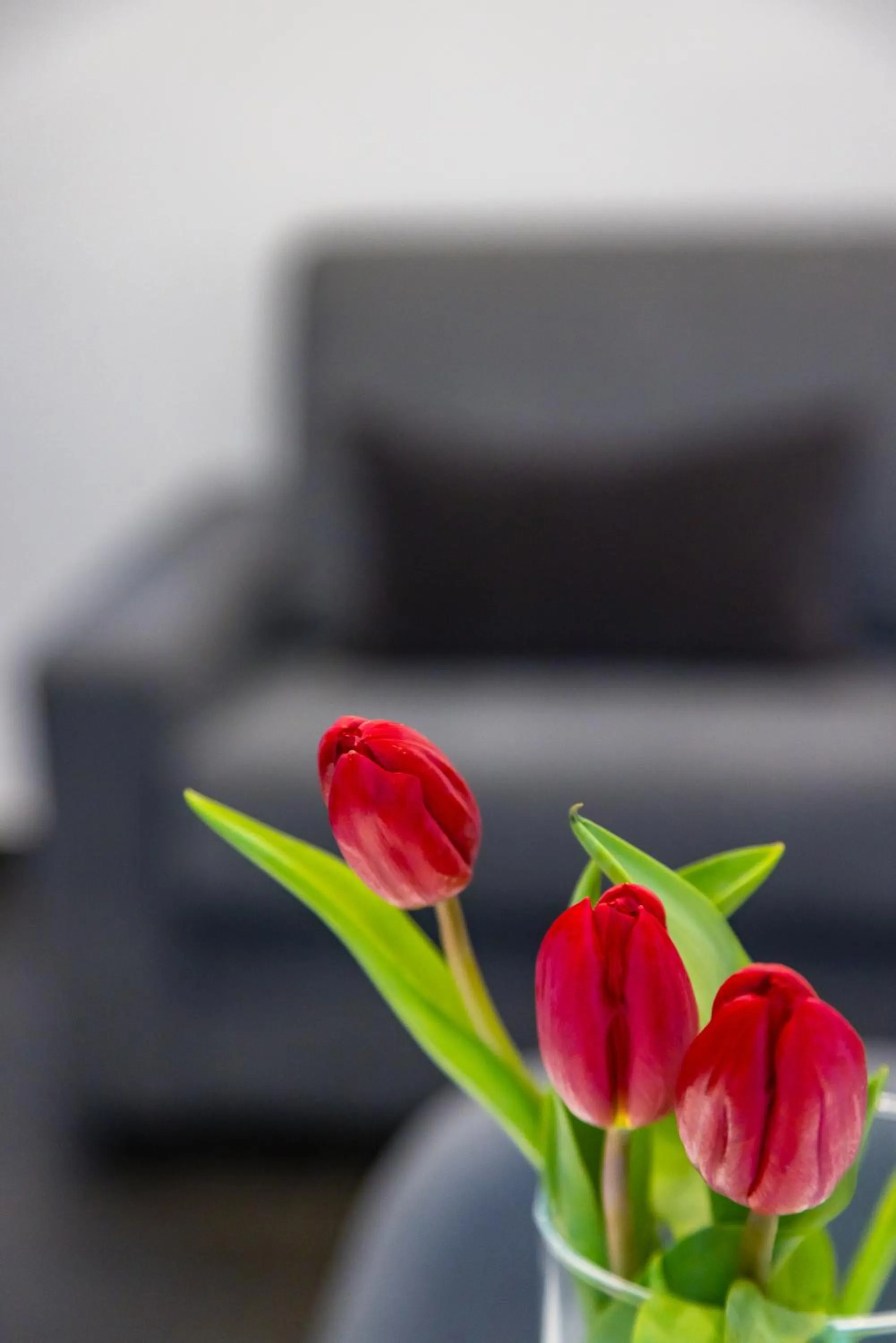 Seating area in Le Porte di Partenope