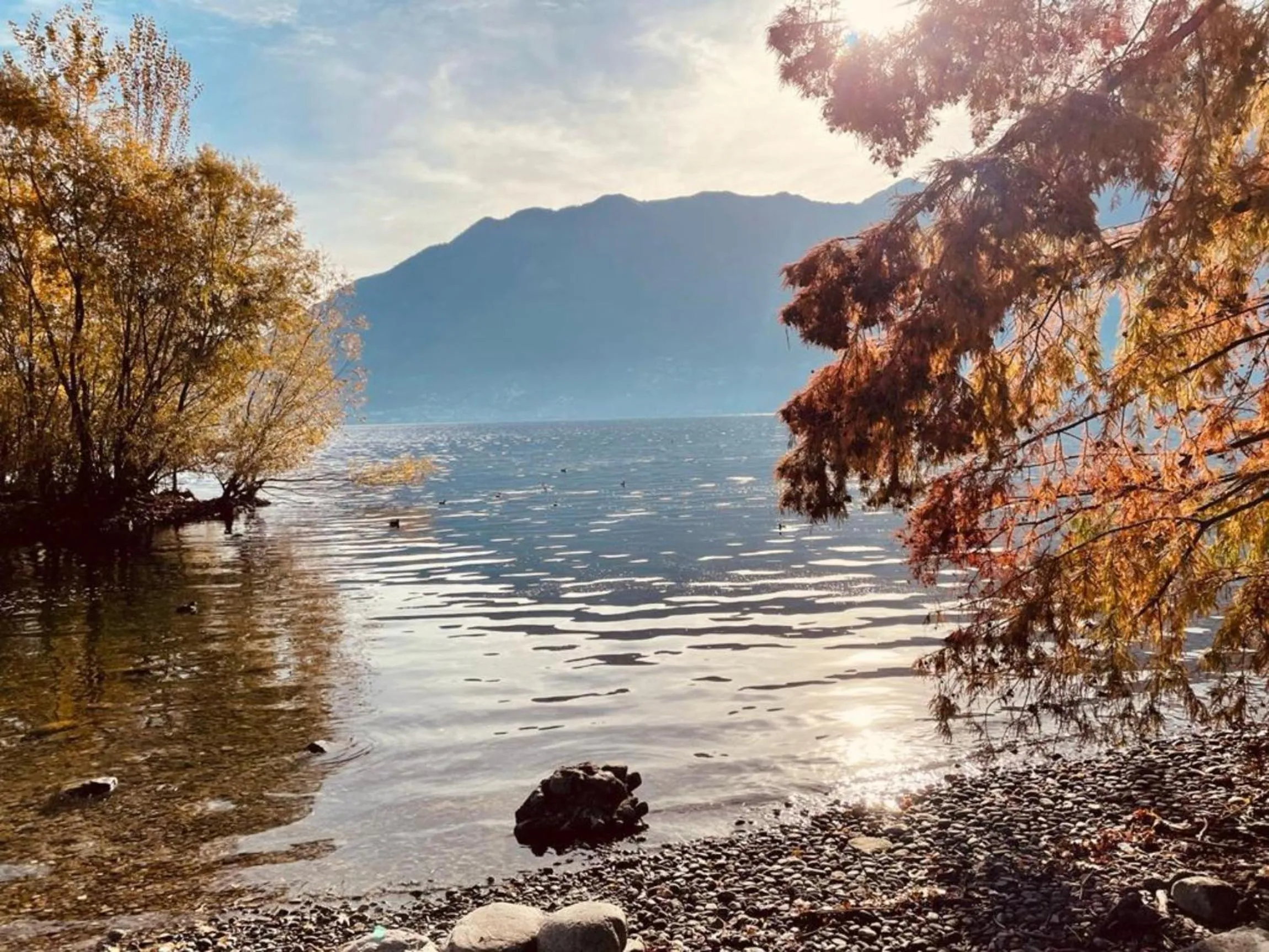 Casa Leini by Quokka 360 - two-bedroom apartment 3 minutes from Lido di Locarno