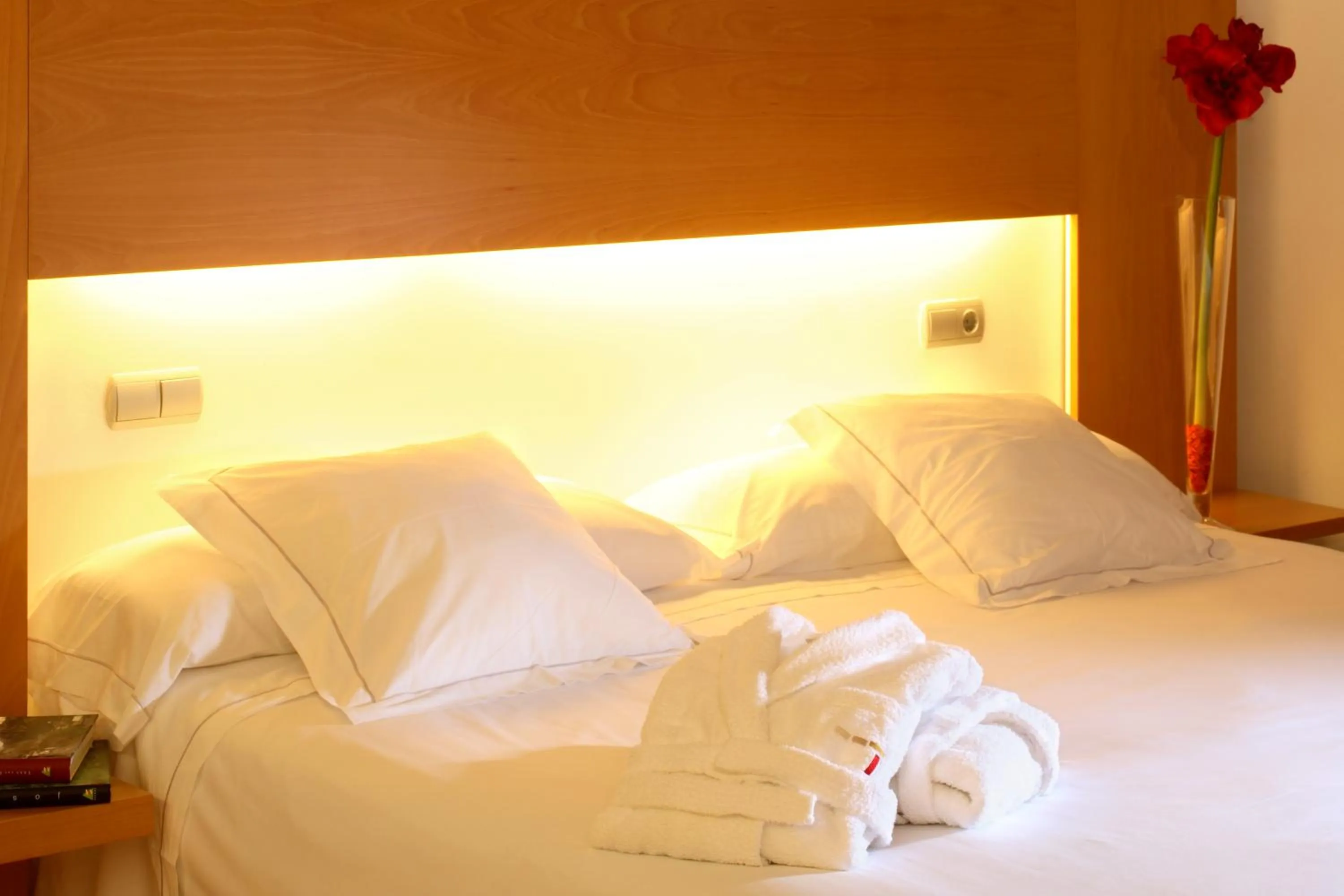 Bed in Tierra de Biescas