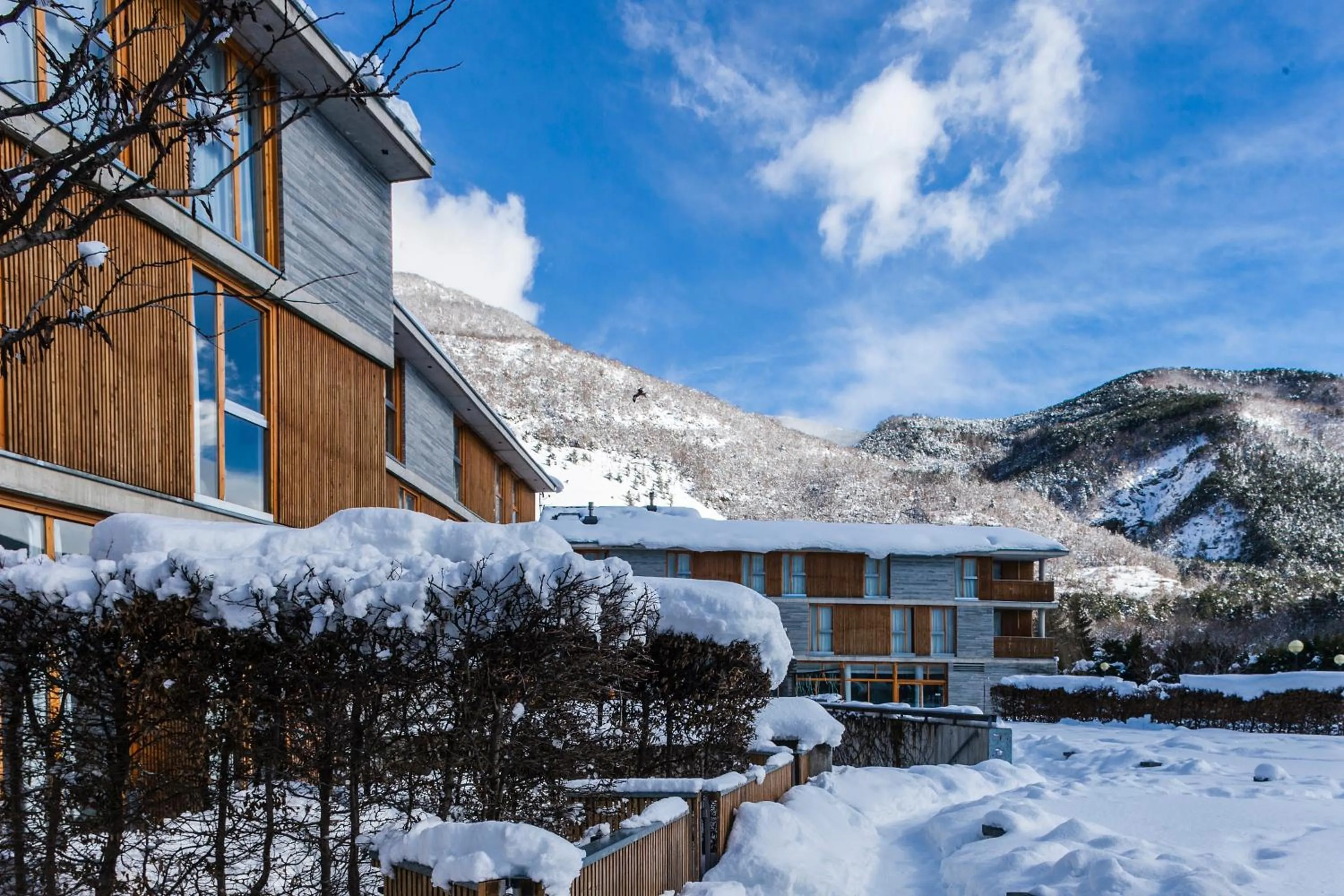 Garden view in Tierra de Biescas