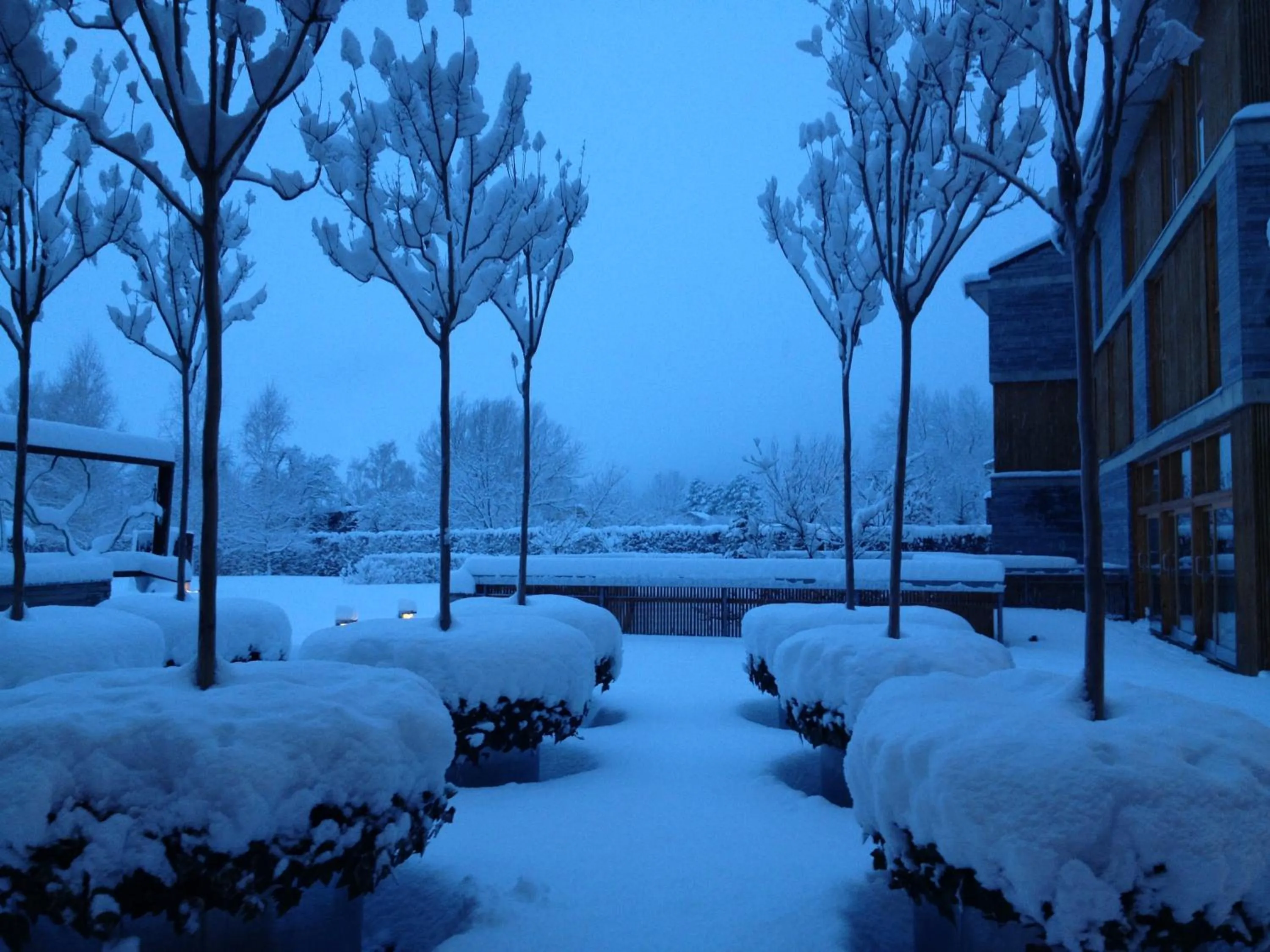 Garden in Tierra de Biescas