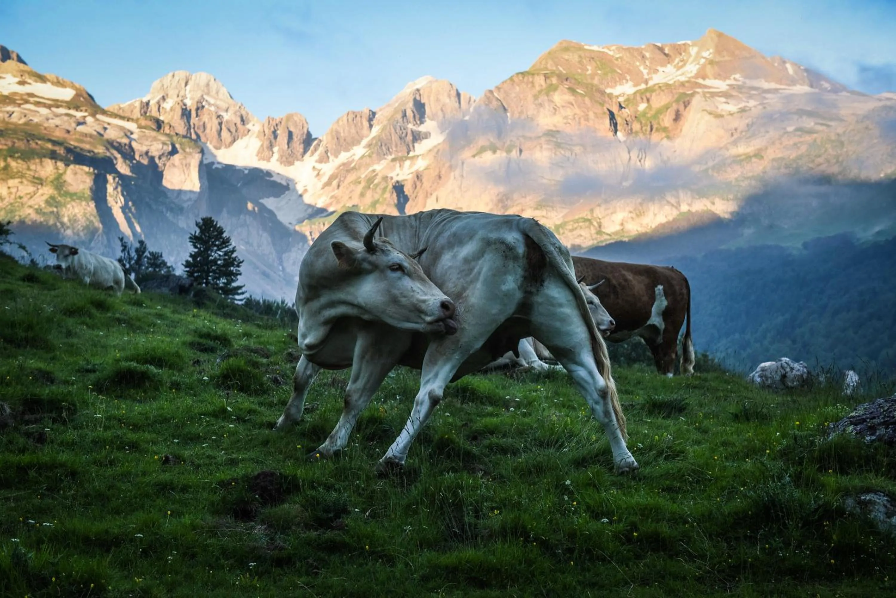 Activities in Tierra de Biescas