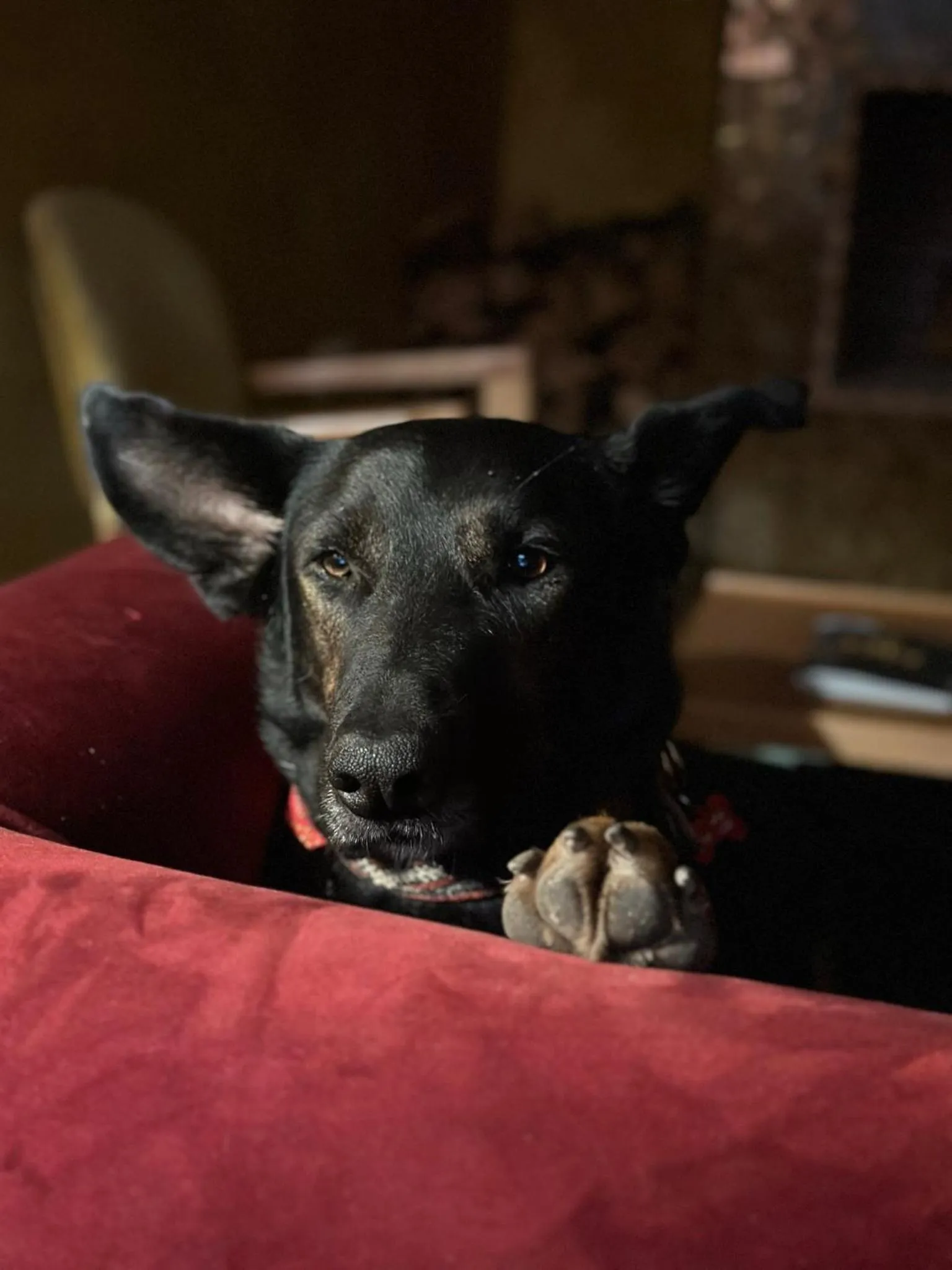 Living room in Riad Alena