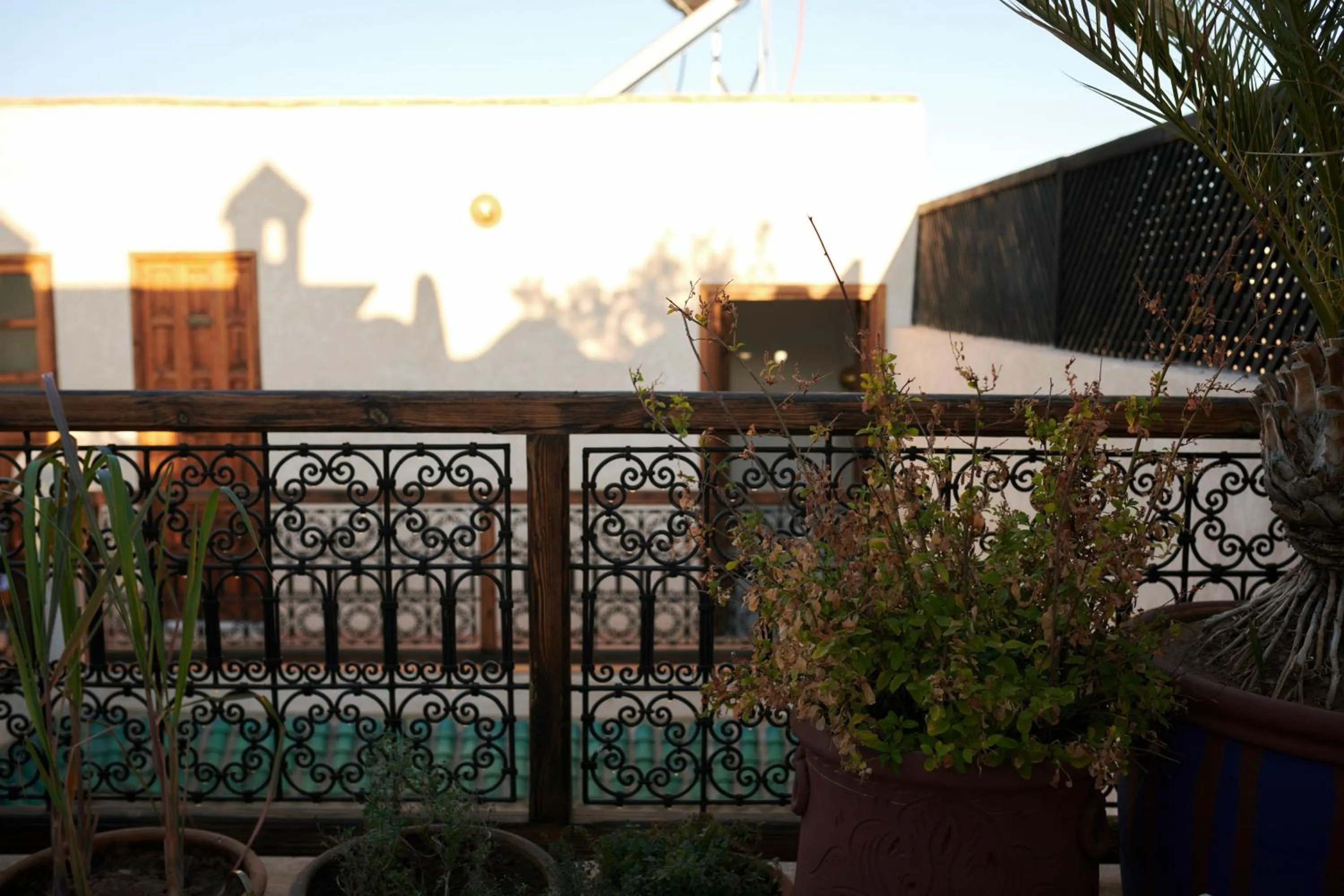 Balcony/Terrace in Riad Alena
