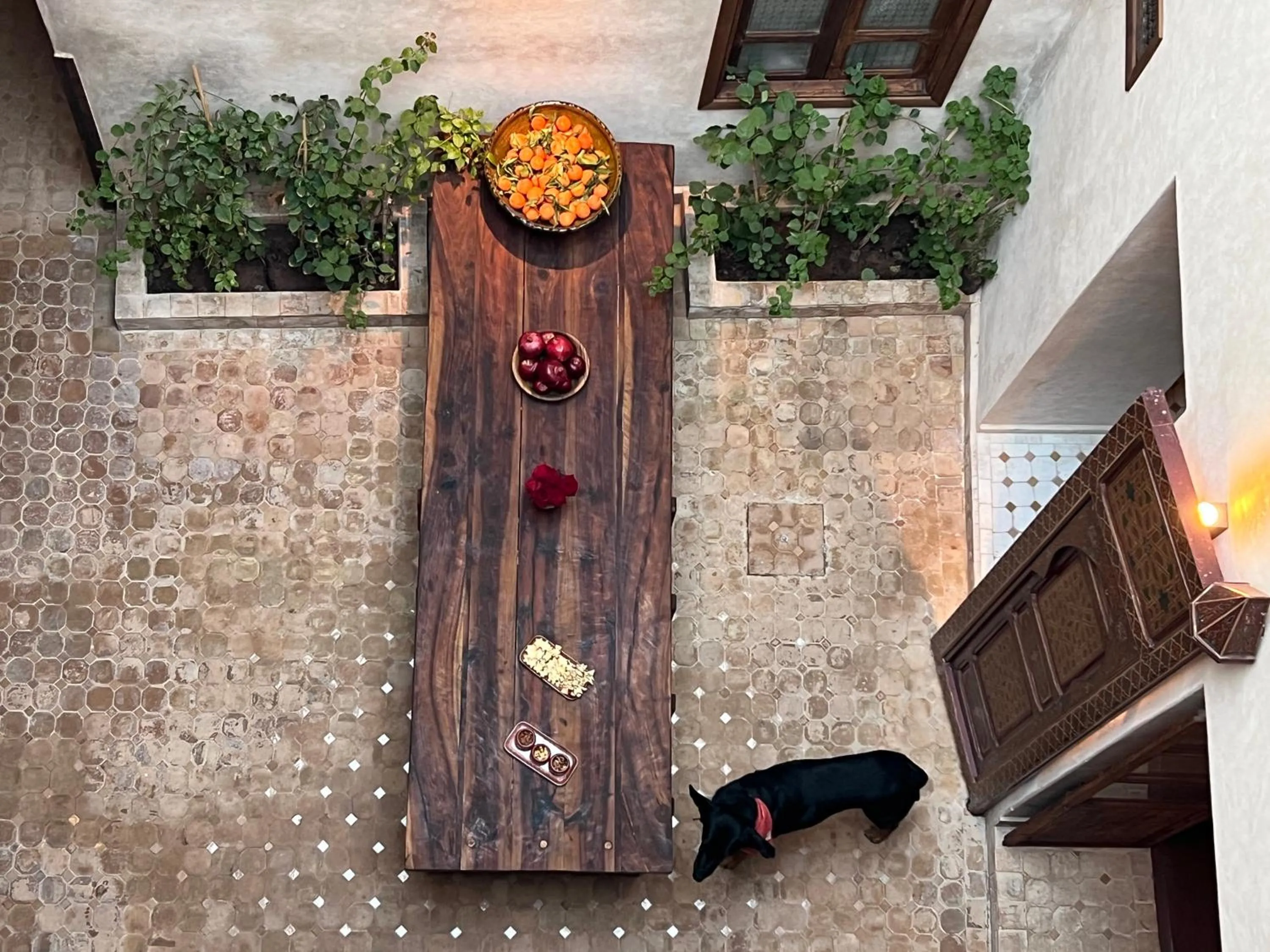 Inner courtyard view in Riad Alena