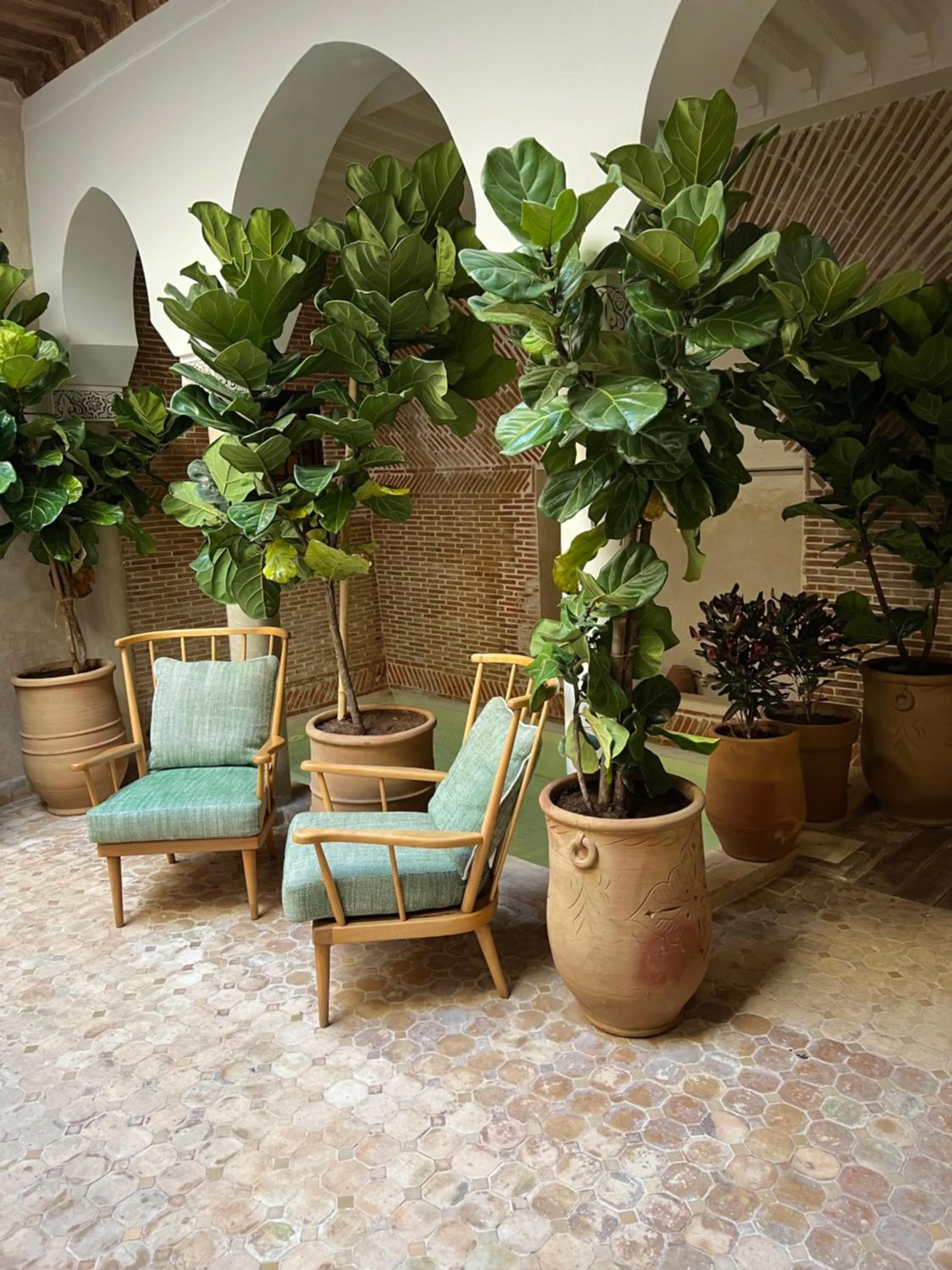 Garden in Riad Alena