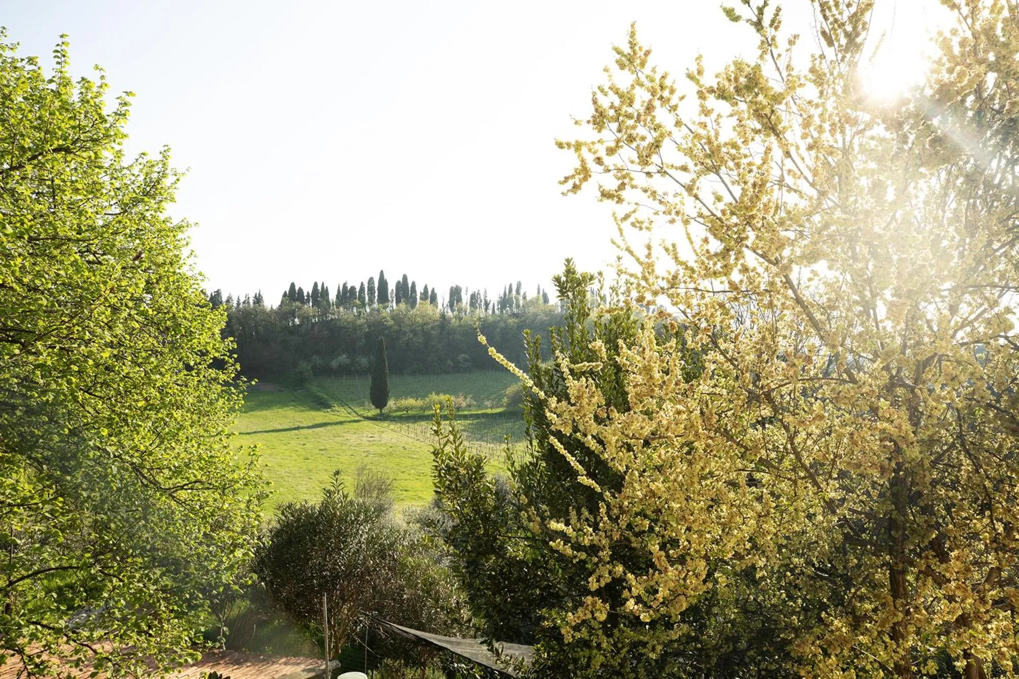 Natural landscape in Relais La Rocca Solferino