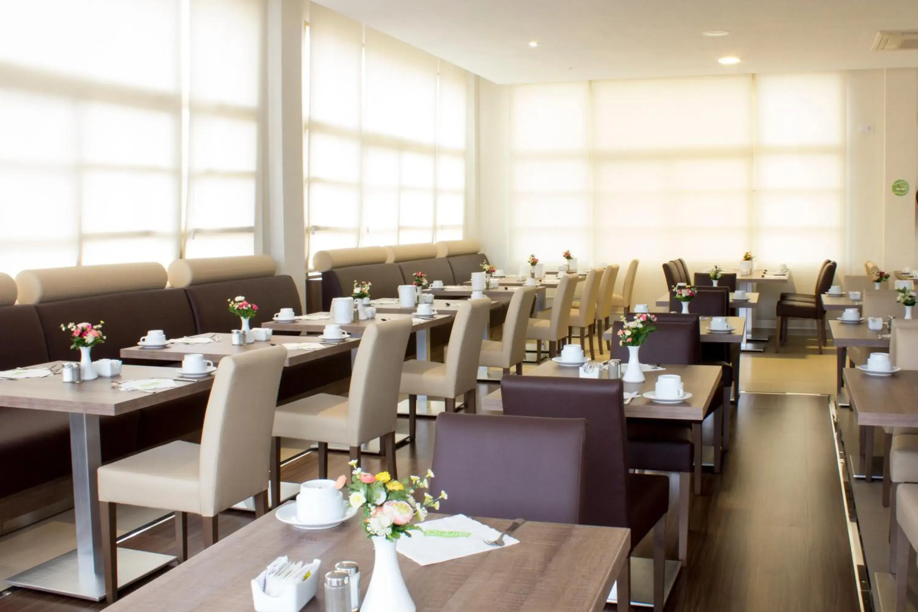 Restaurant/places to eat in Club Simó Restaurant/places to eat in Club Simó