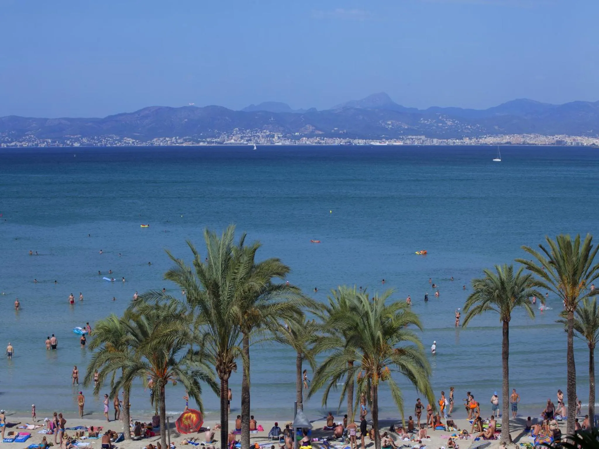 Area and facilities in whala!beach