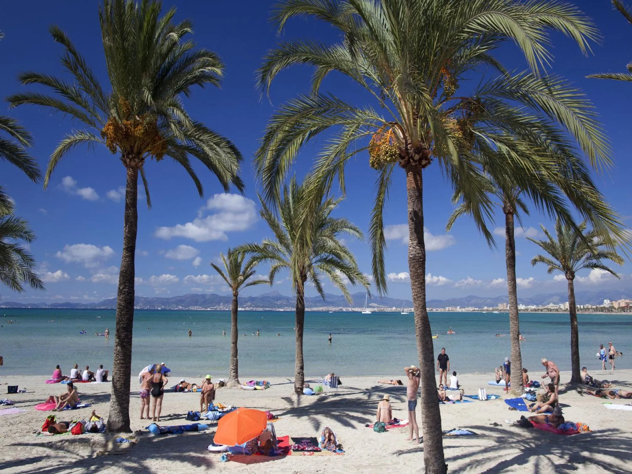 Area and facilities in whala!beach