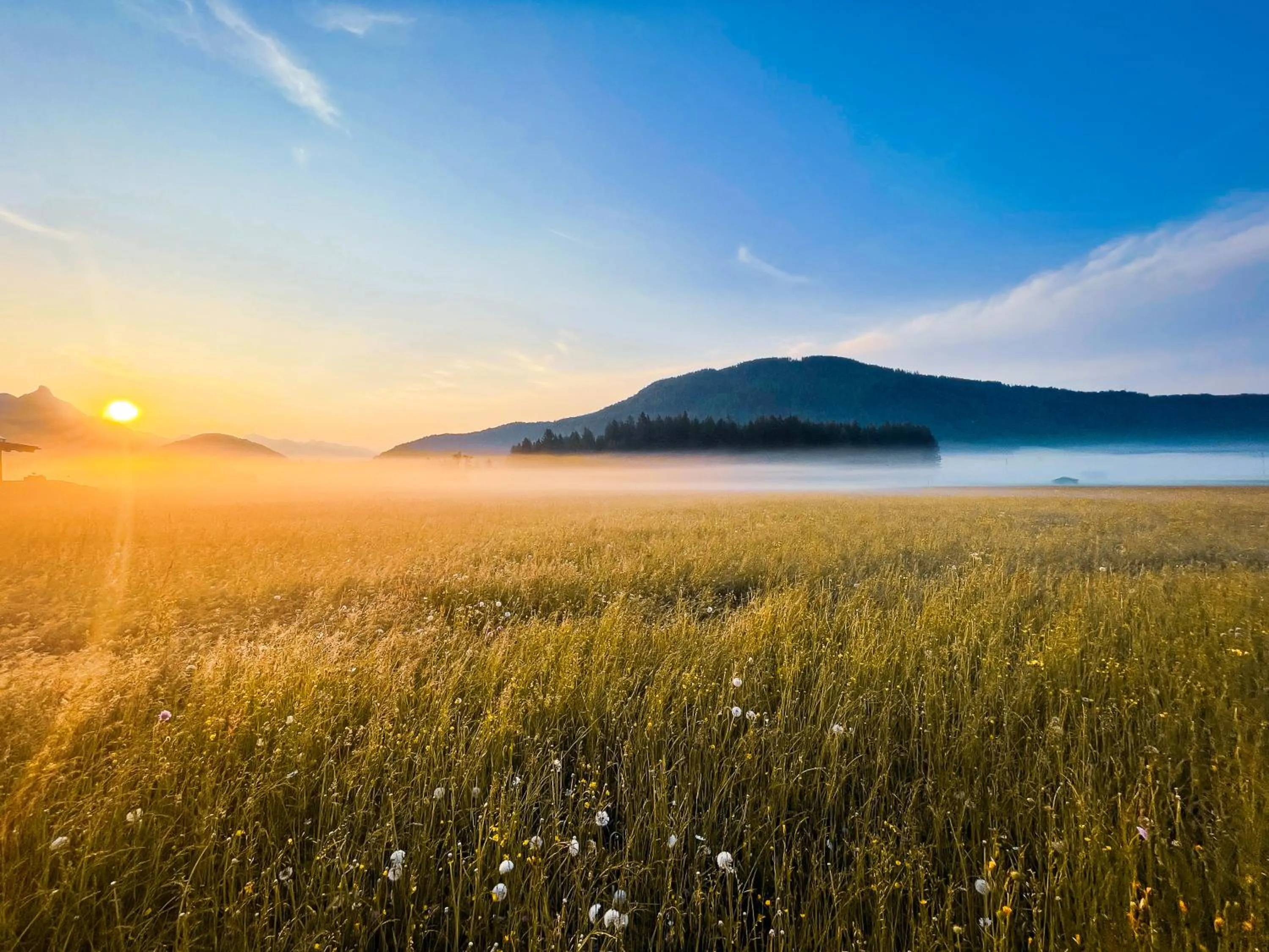 Natural landscape in Haus Sabine