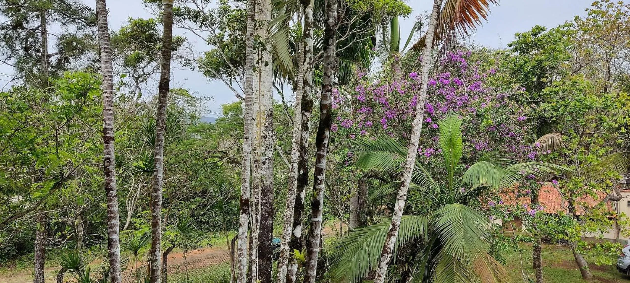 View (from property/room) in Casa com jardim e churrasqueira perto da praia