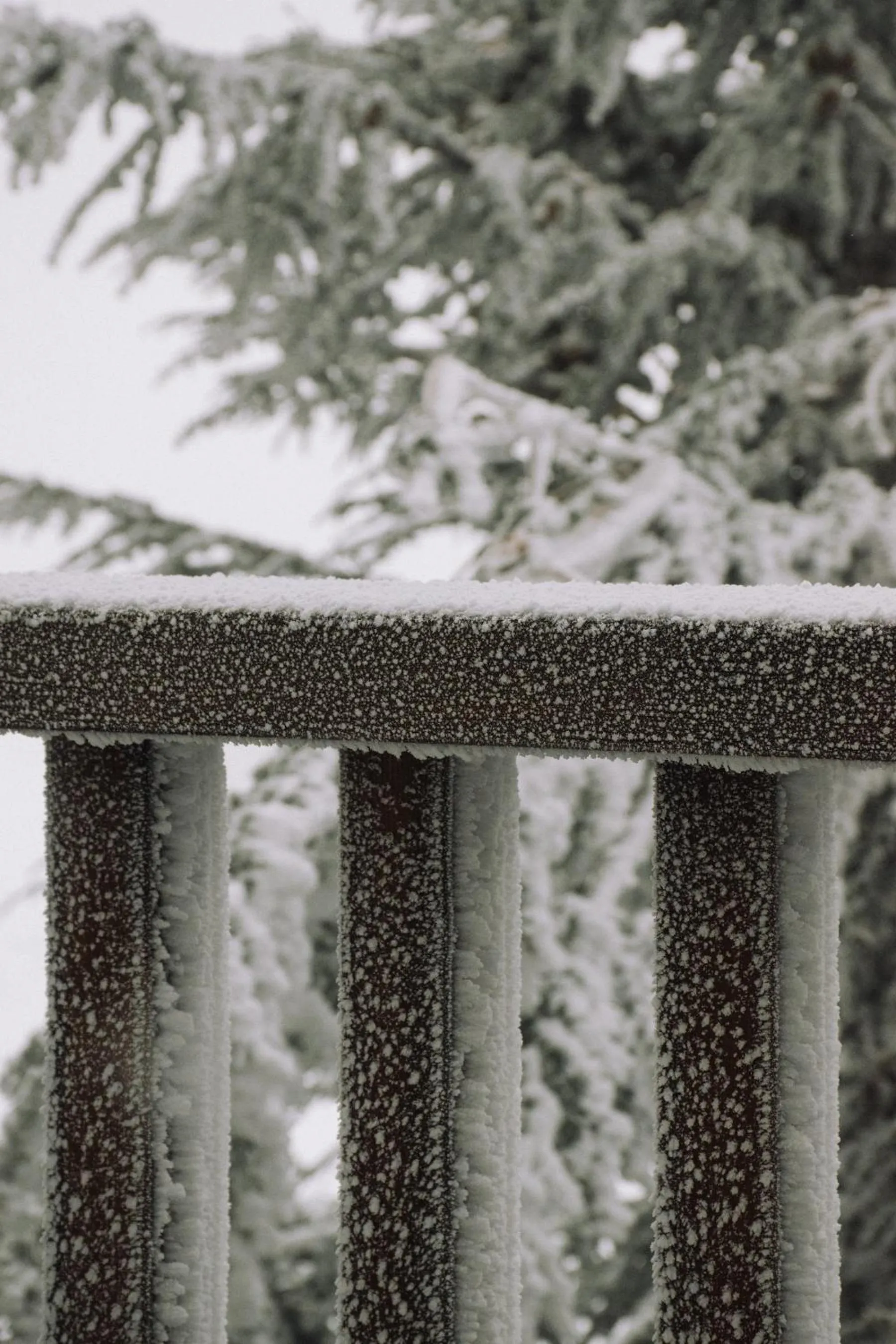 Balcony/Terrace in Hotel Maribel