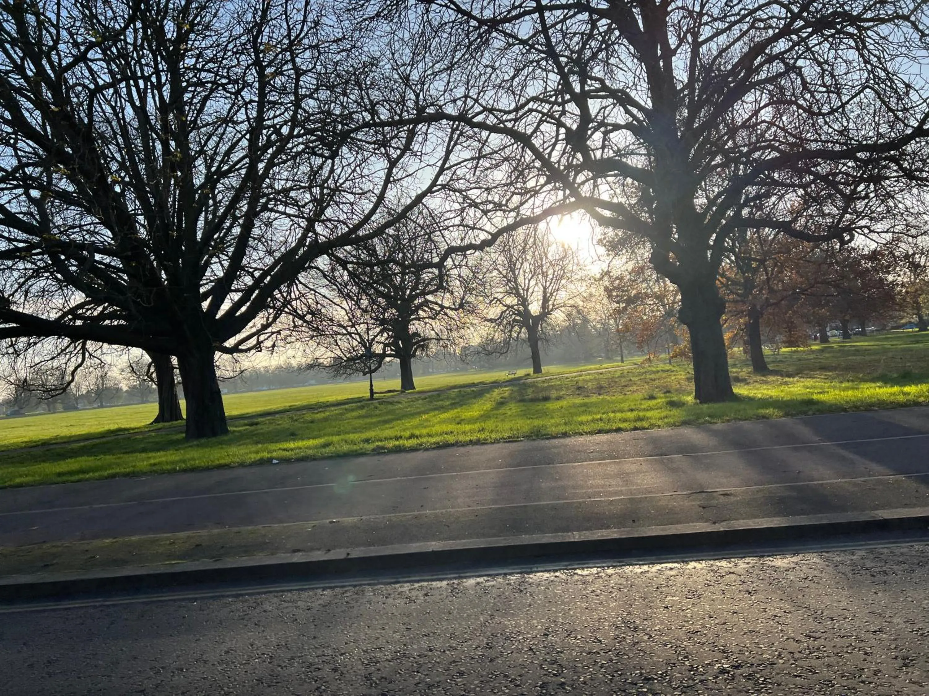 Natural landscape in Belvue Serviced Apartment - Ealing Broadway