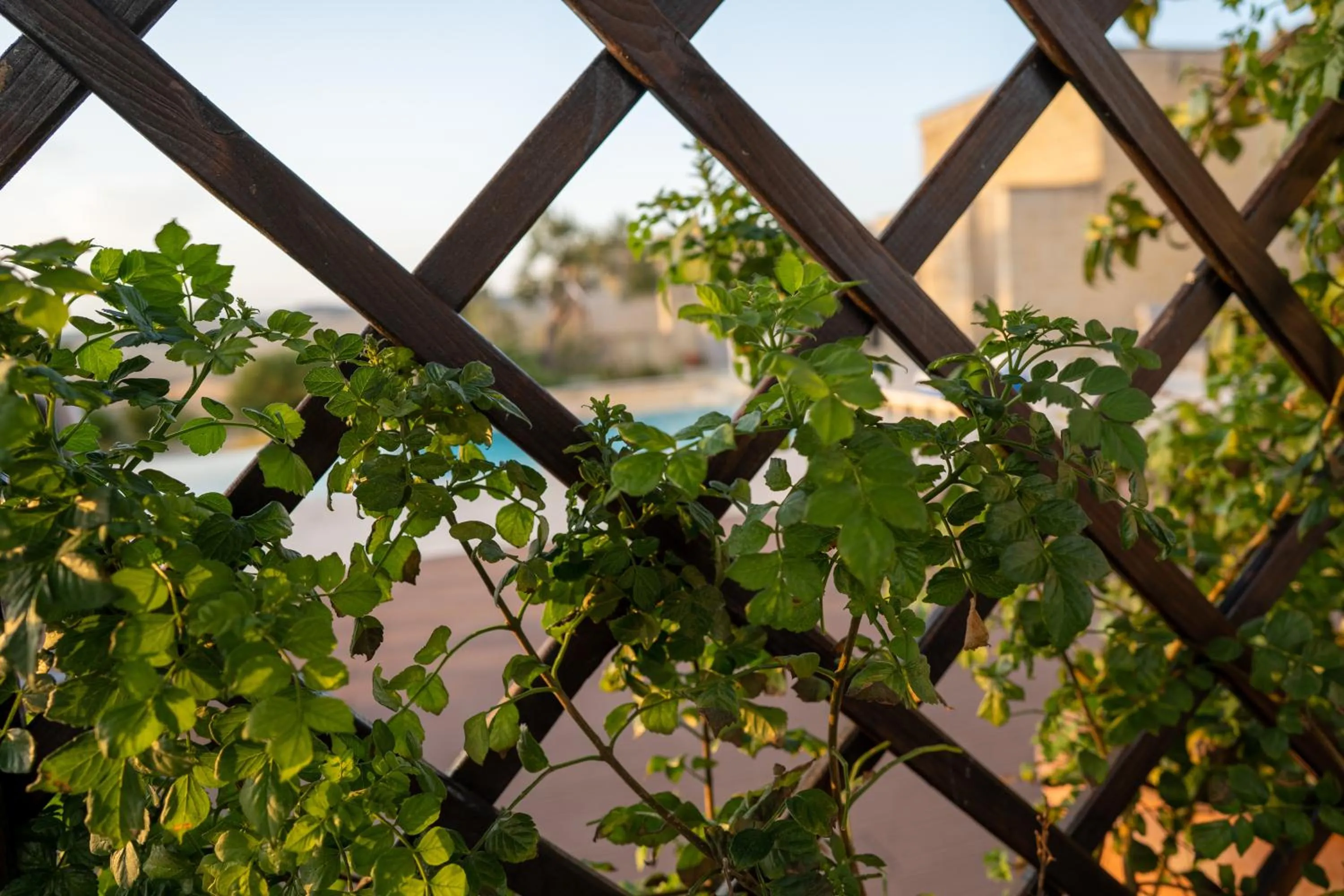 Garden in Villa Matera