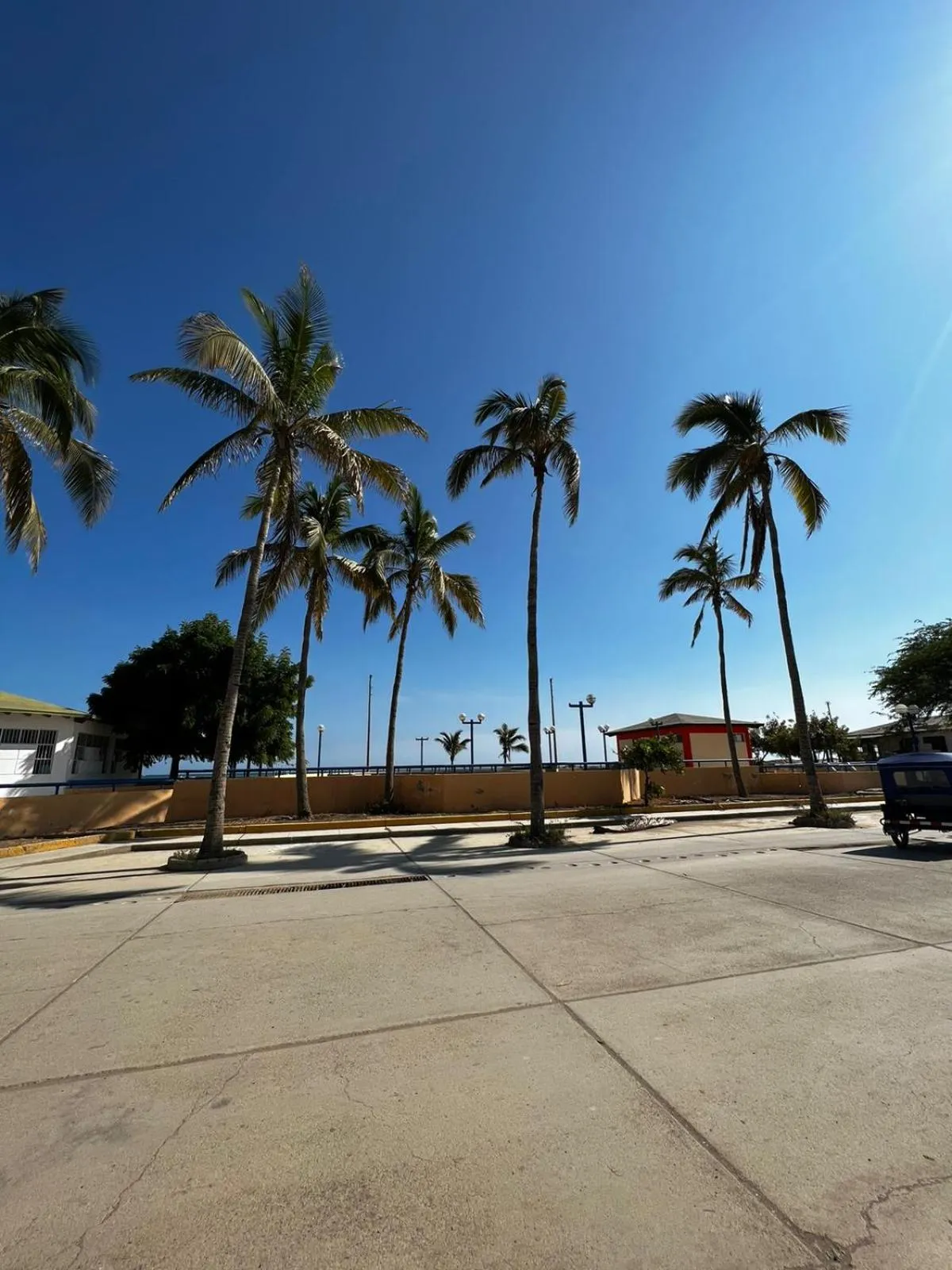 Neighbourhood in Gamora Hotel Playa