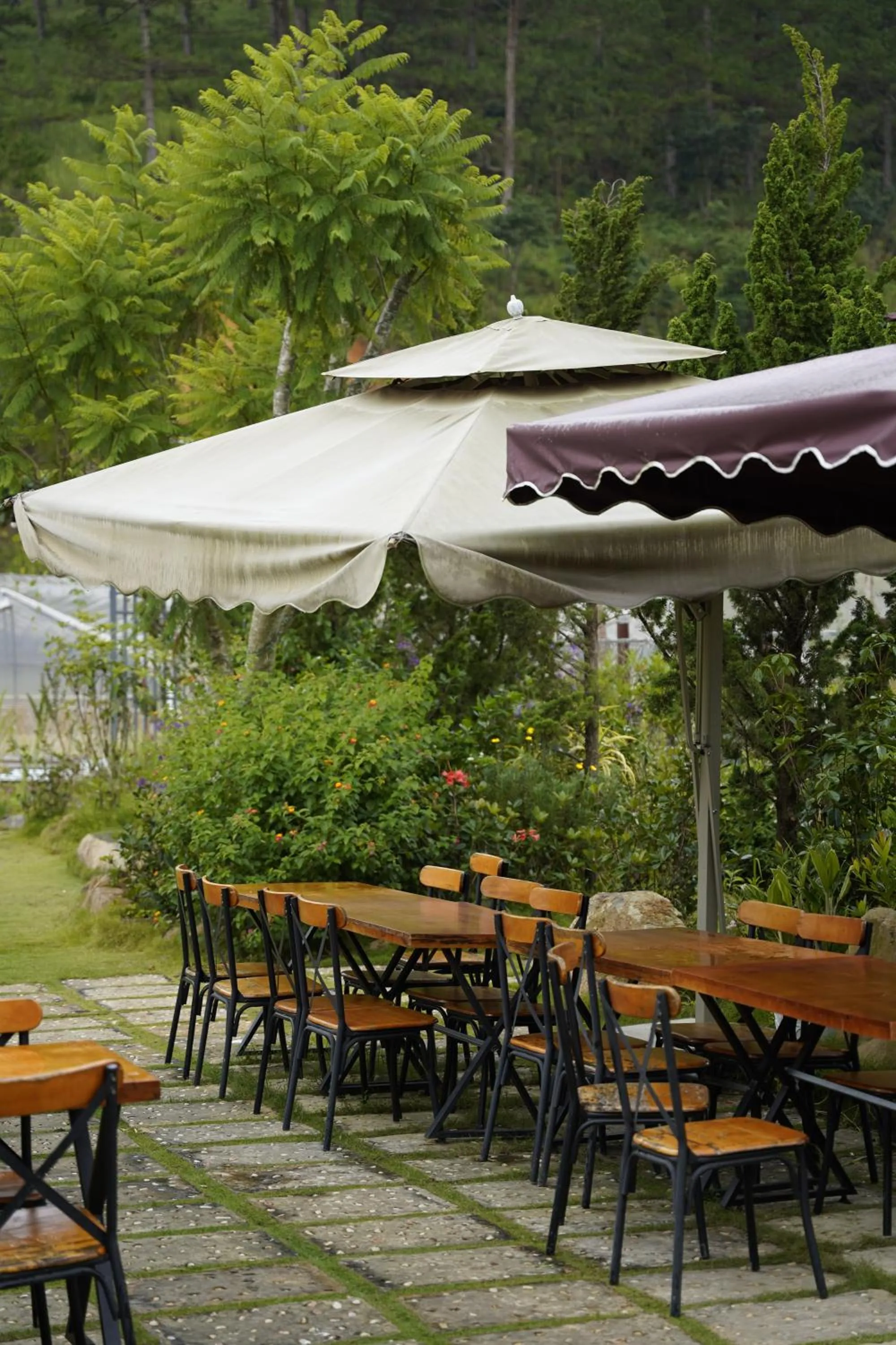 Garden in GREENECO DA LAT HOTEL - Khách sạn Green Eco Đà Lạt