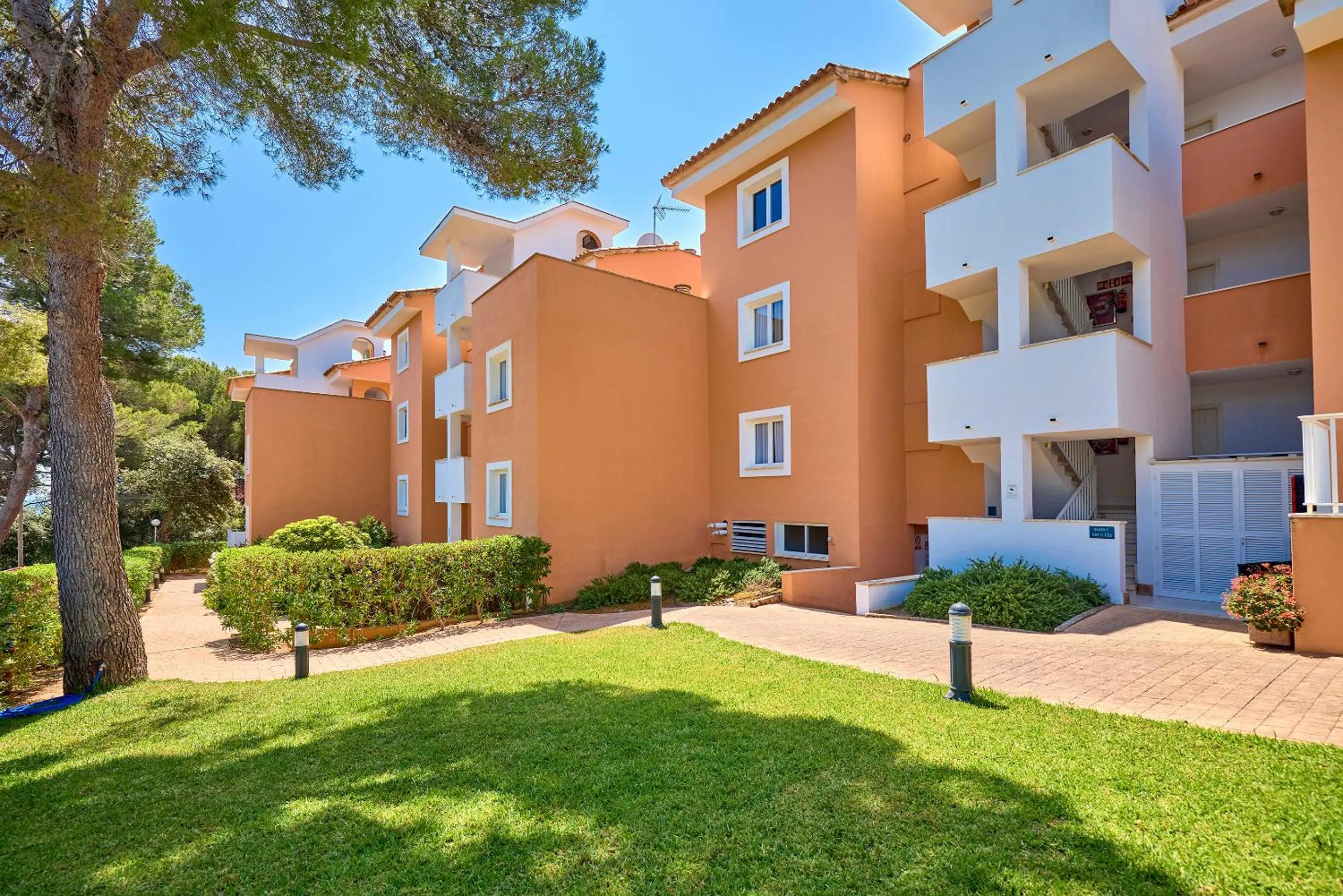 Garden in Universal Apartamentos Laguna Garden