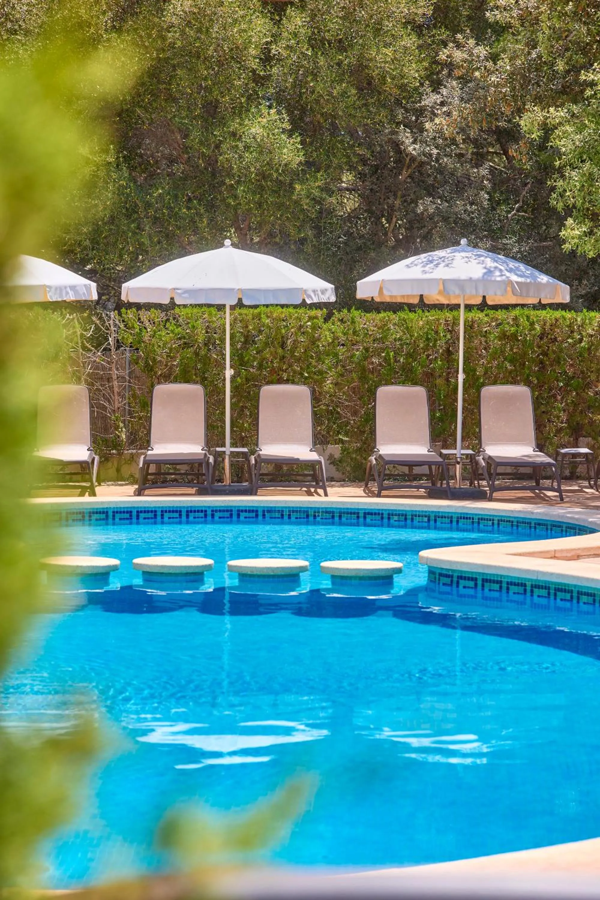 Solarium in Universal Apartamentos Laguna Garden