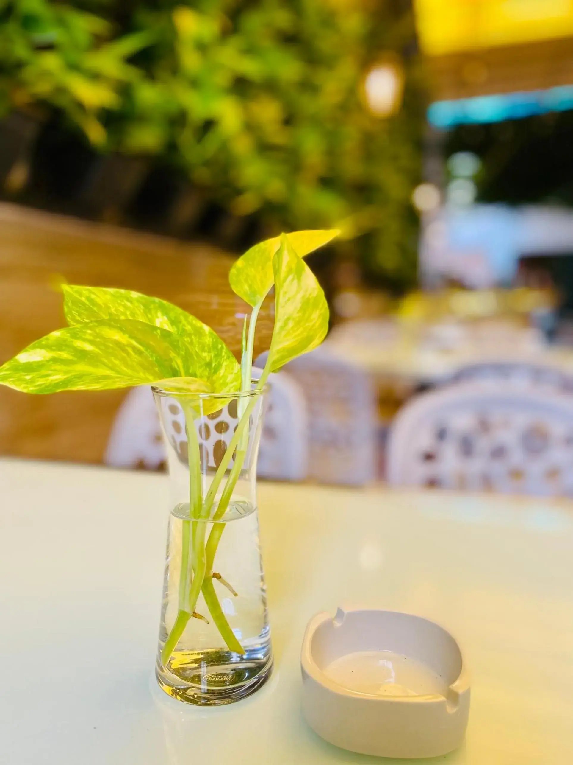 Restaurant/places to eat in Capsule Riverside Restaurant/places to eat in Capsule Riverside