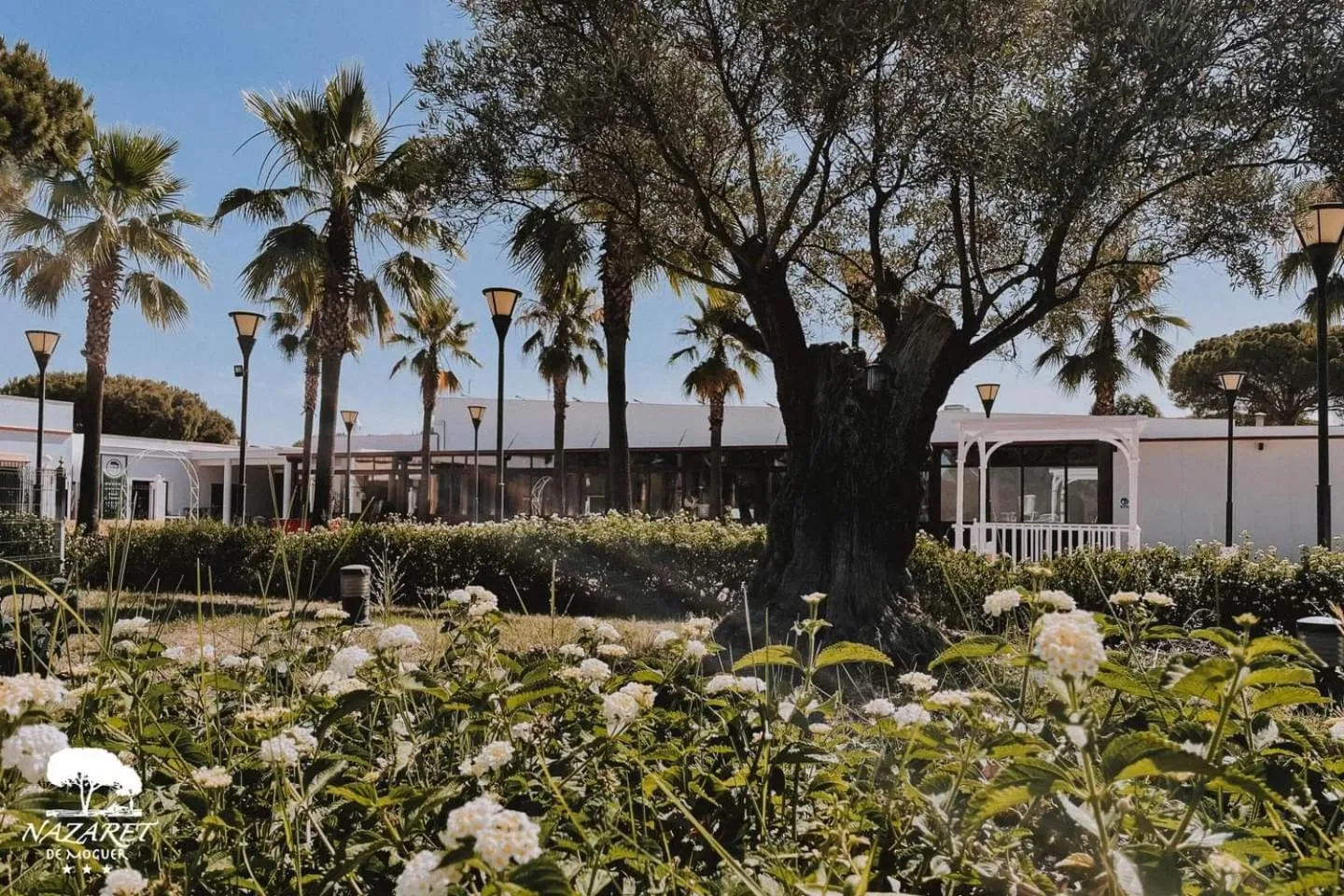 Garden in Complejo Turístico Rural Nazaret De Moguer
