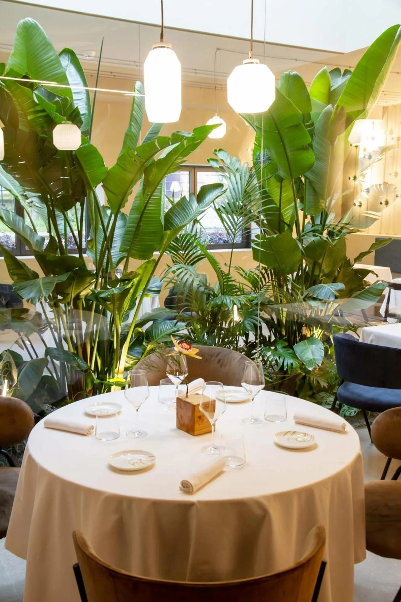 Restaurant/places to eat in RMH Modena Raffaello