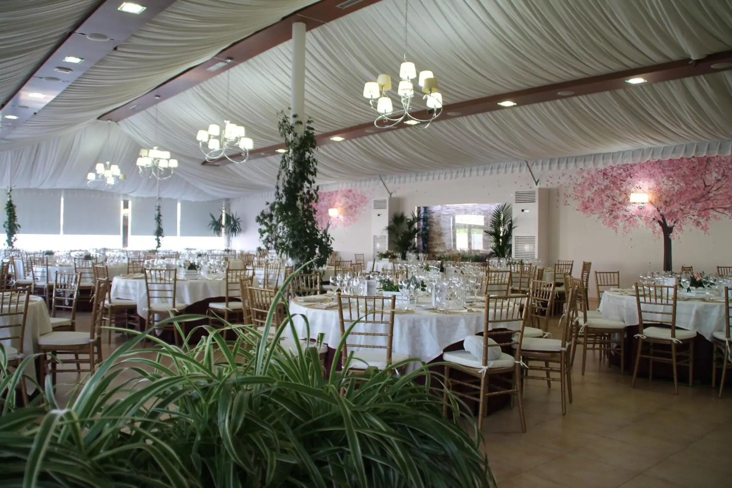 Restaurant/places to eat in Hotel Mozárbez Salamanca Restaurant/places to eat in Hotel Mozárbez Salamanca