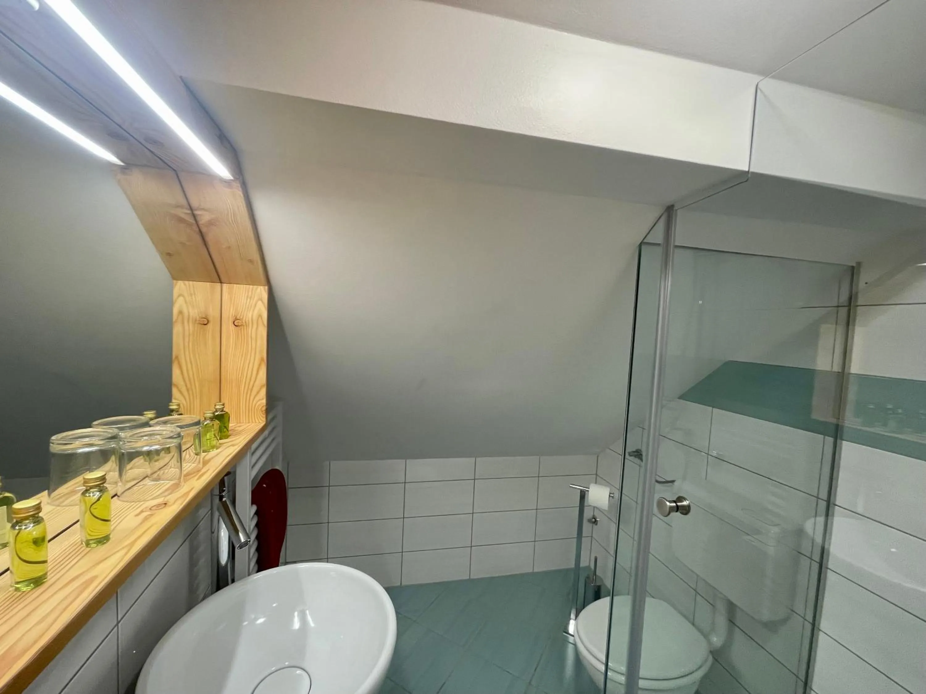 Shower in Hotel ŠURC