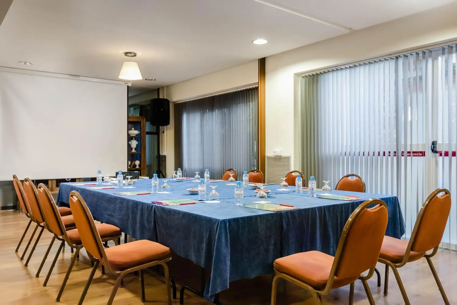 Business facilities in Hotel Palacios