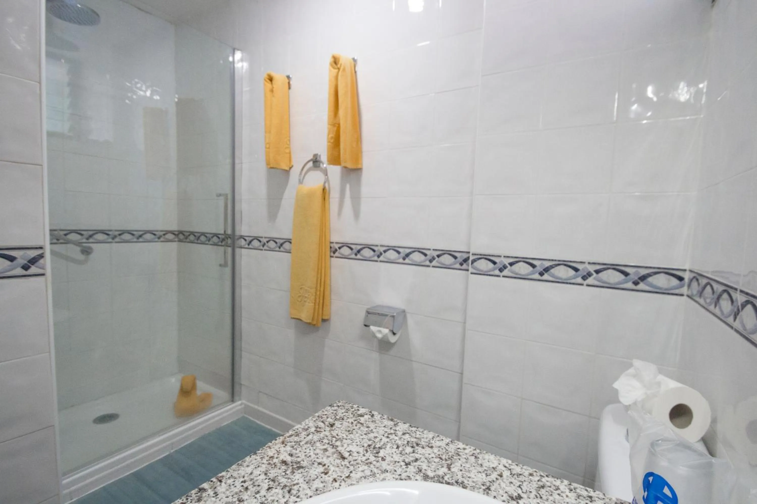 Bathroom in Hotel Green Field