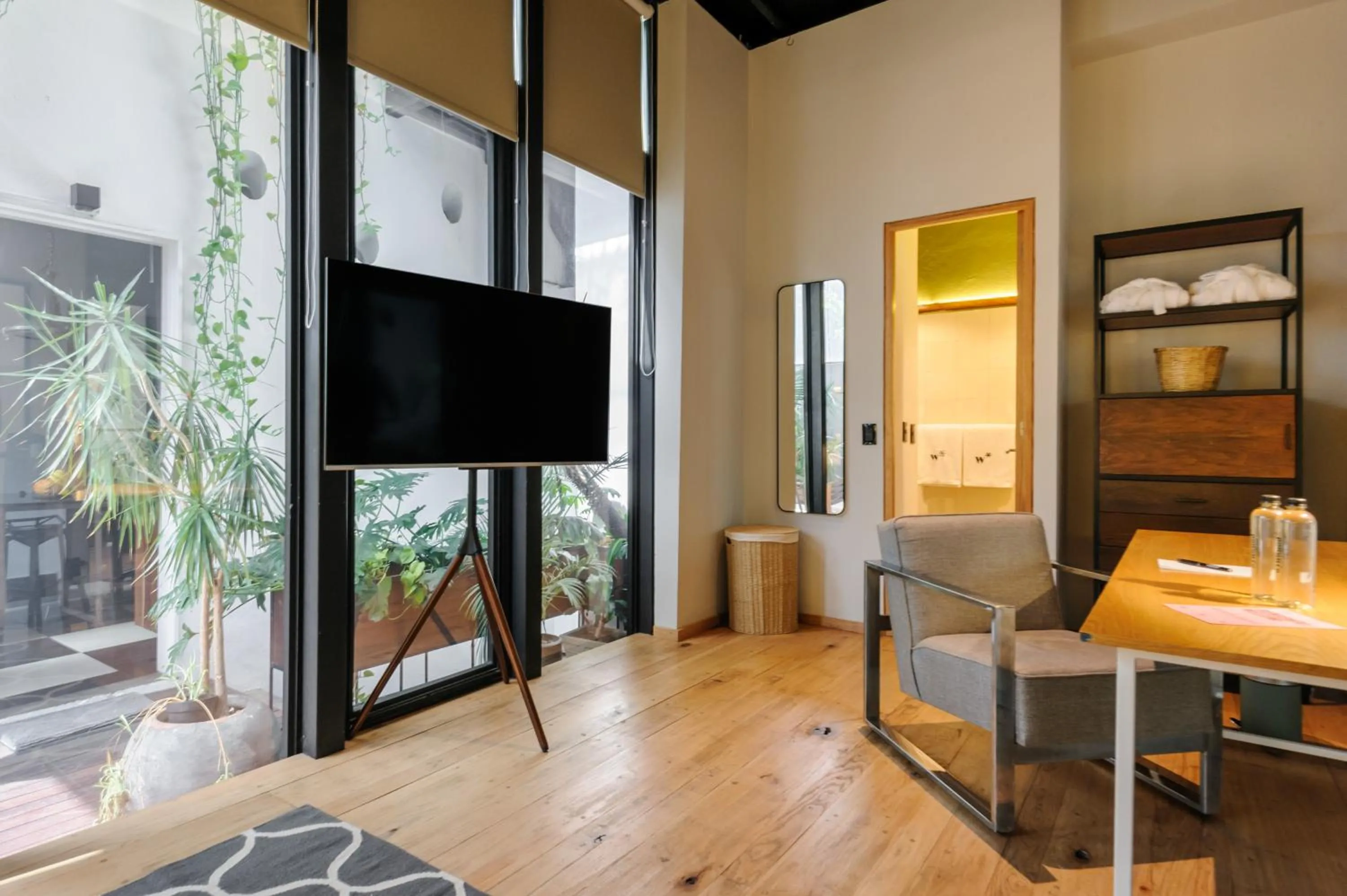 Living room in Casa Wynwood Roma Norte