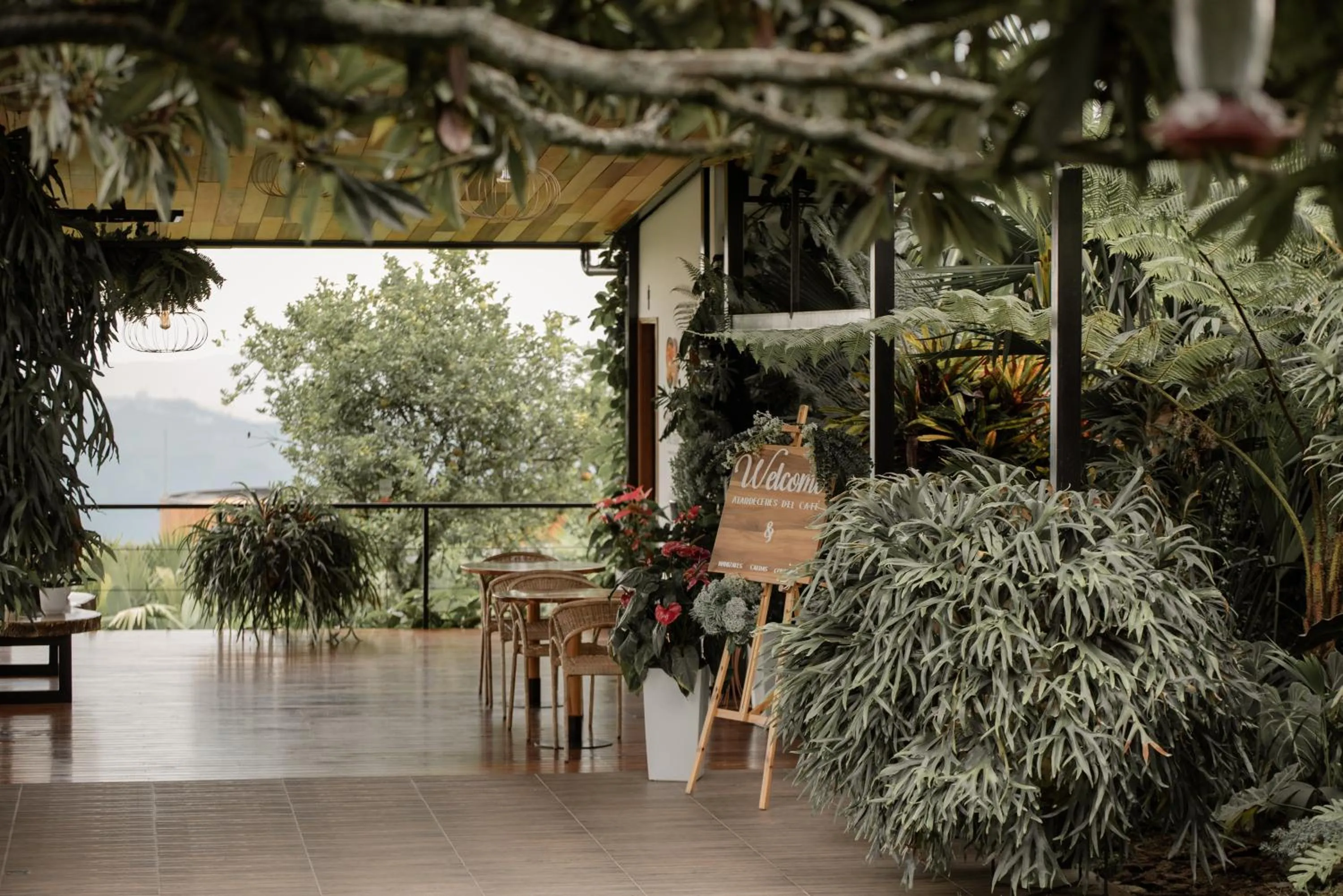 Restaurant/places to eat in Atardeceres del Cafe