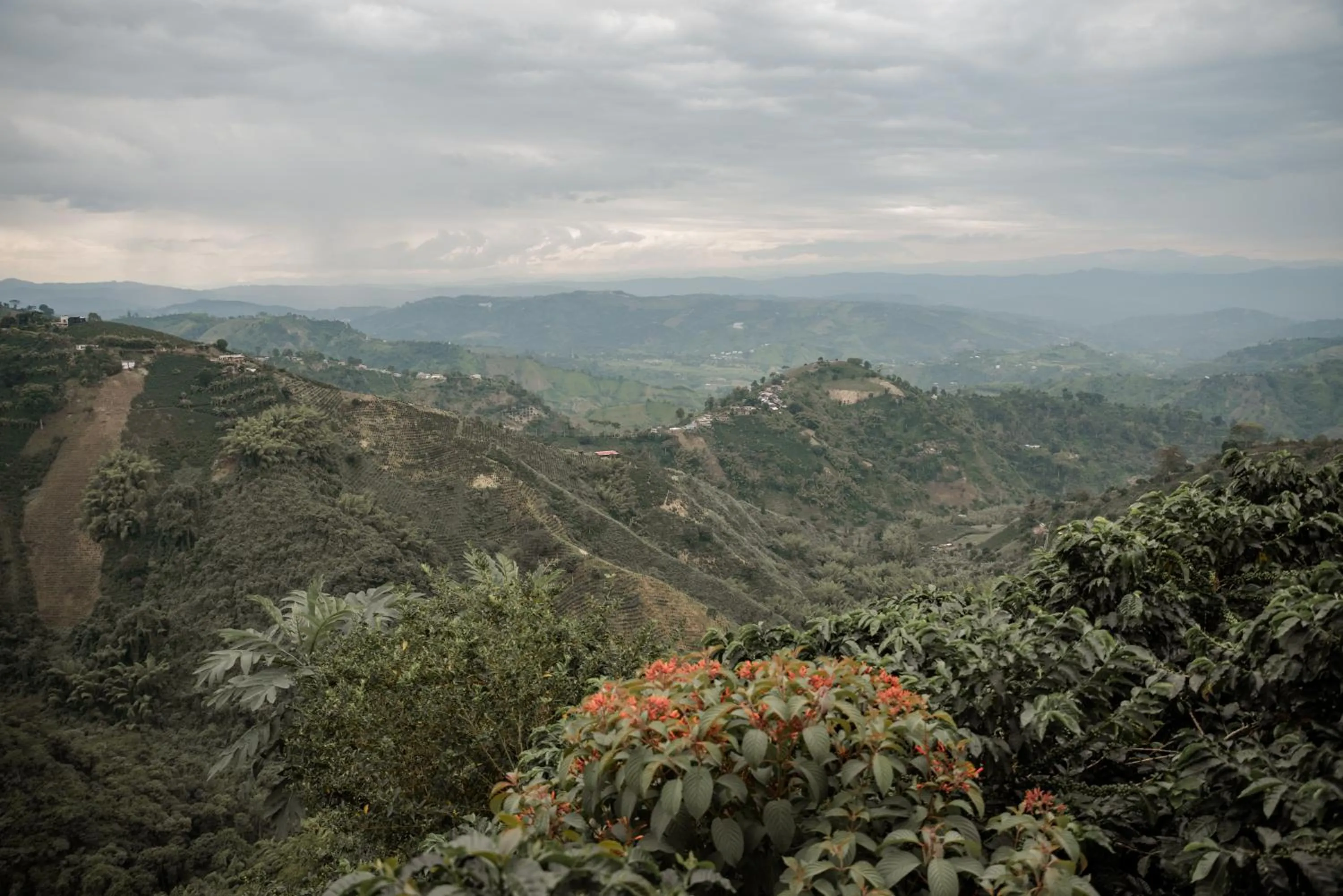Natural landscape in Atardeceres del Cafe