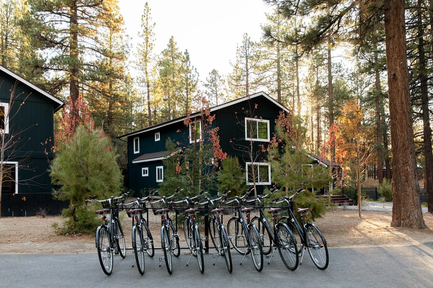 Cycling in NP Boutique Lodge