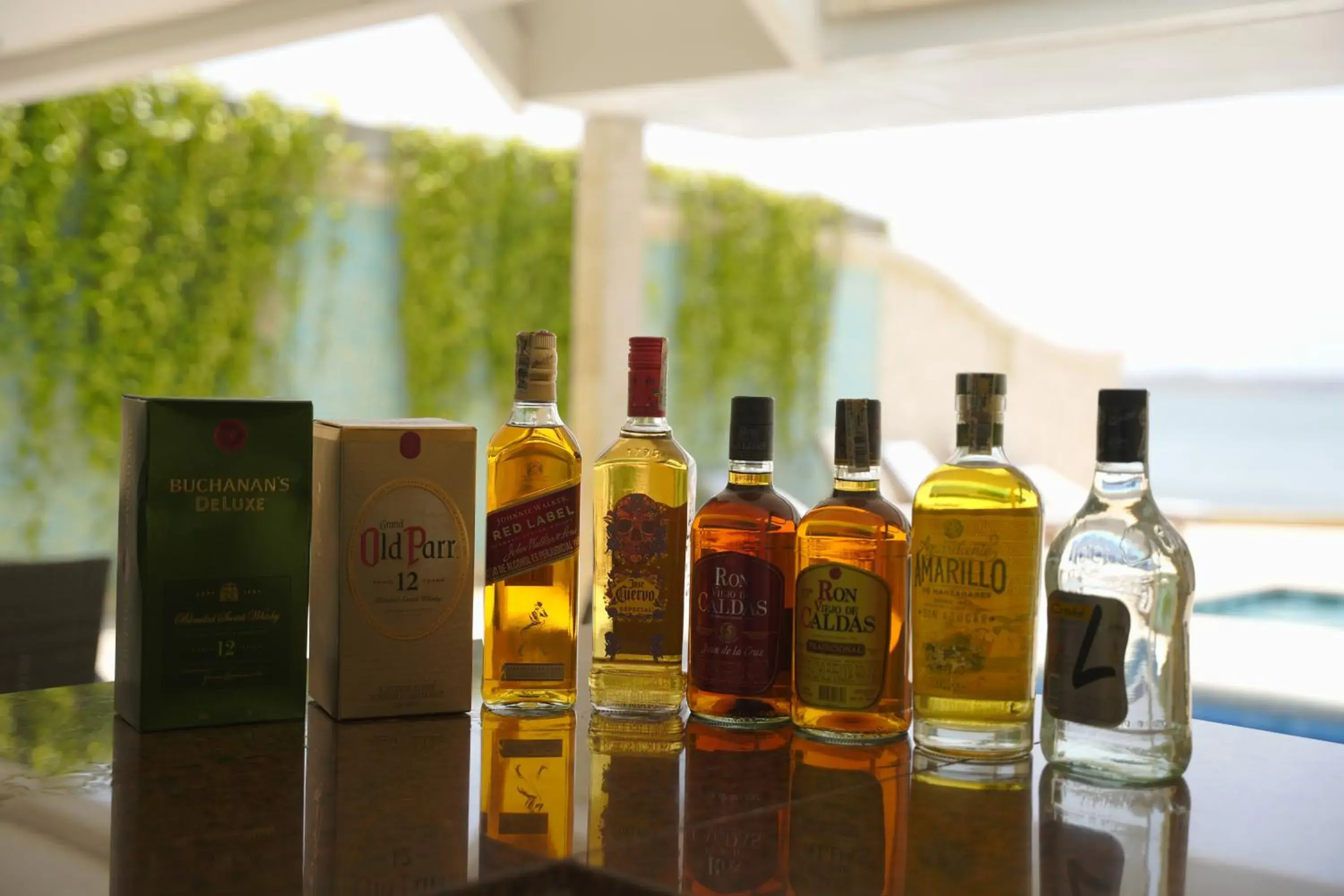 Lounge or bar in Hotel Caribbean Cartagena Lounge or bar in Hotel Caribbean Cartagena