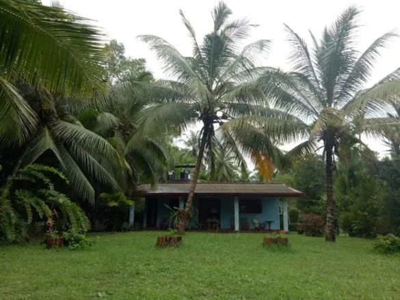 Mangrove villa - Yoga & Ayurveda