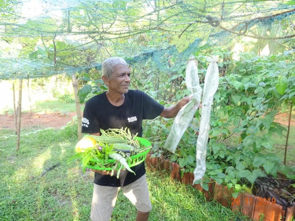 Mangrove villa - Yoga & Ayurveda
