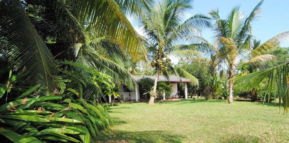 Mangrove villa - Yoga & Ayurveda