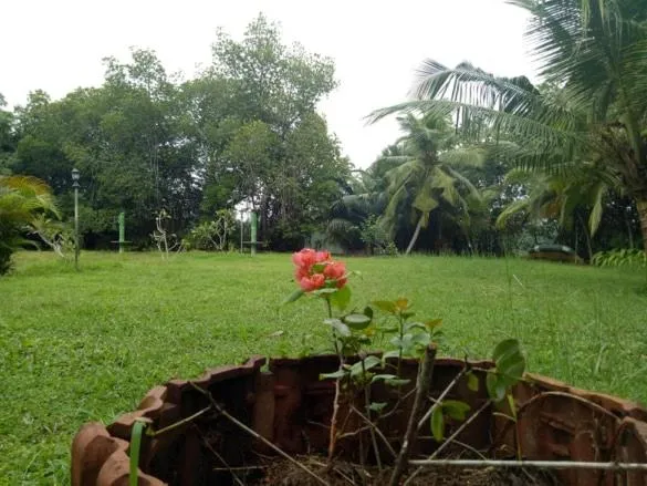 Mangrove villa - Yoga & Ayurveda