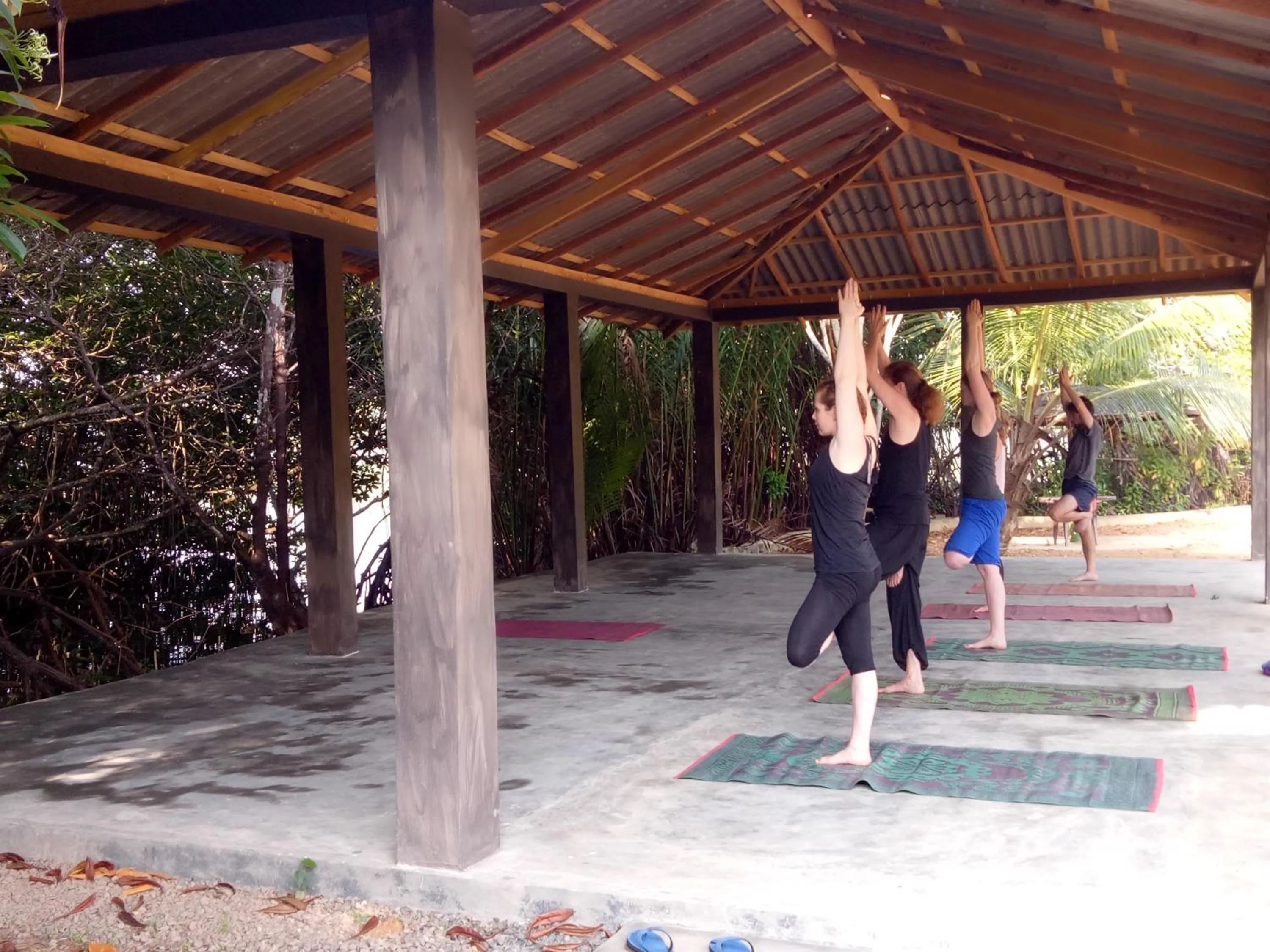 Mangrove villa - Yoga & Ayurveda
