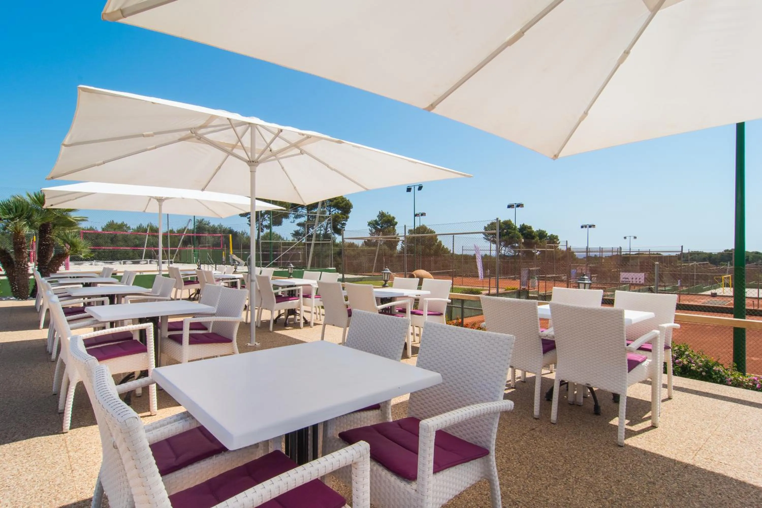 Restaurant/places to eat in Hotel Na Taconera