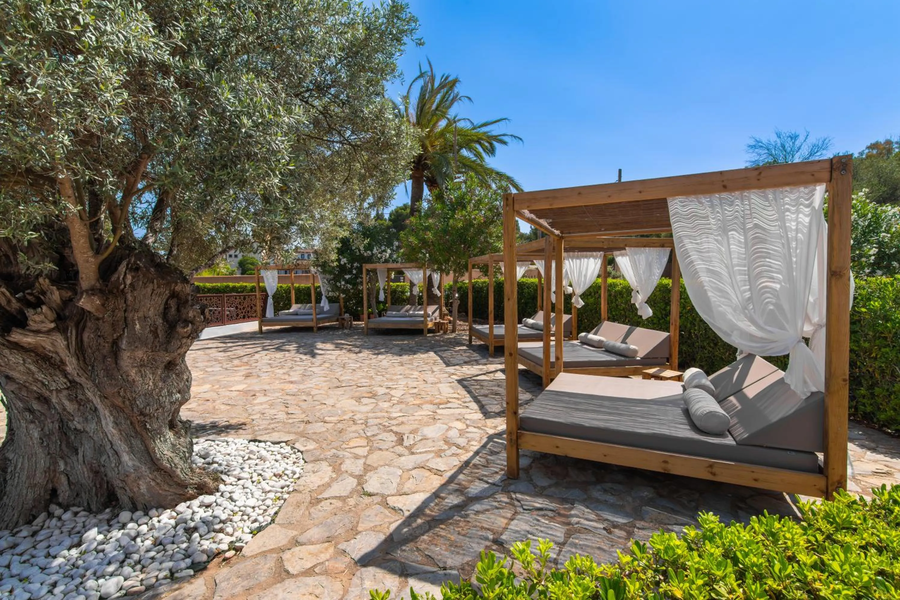 sunbed in Hotel Na Taconera