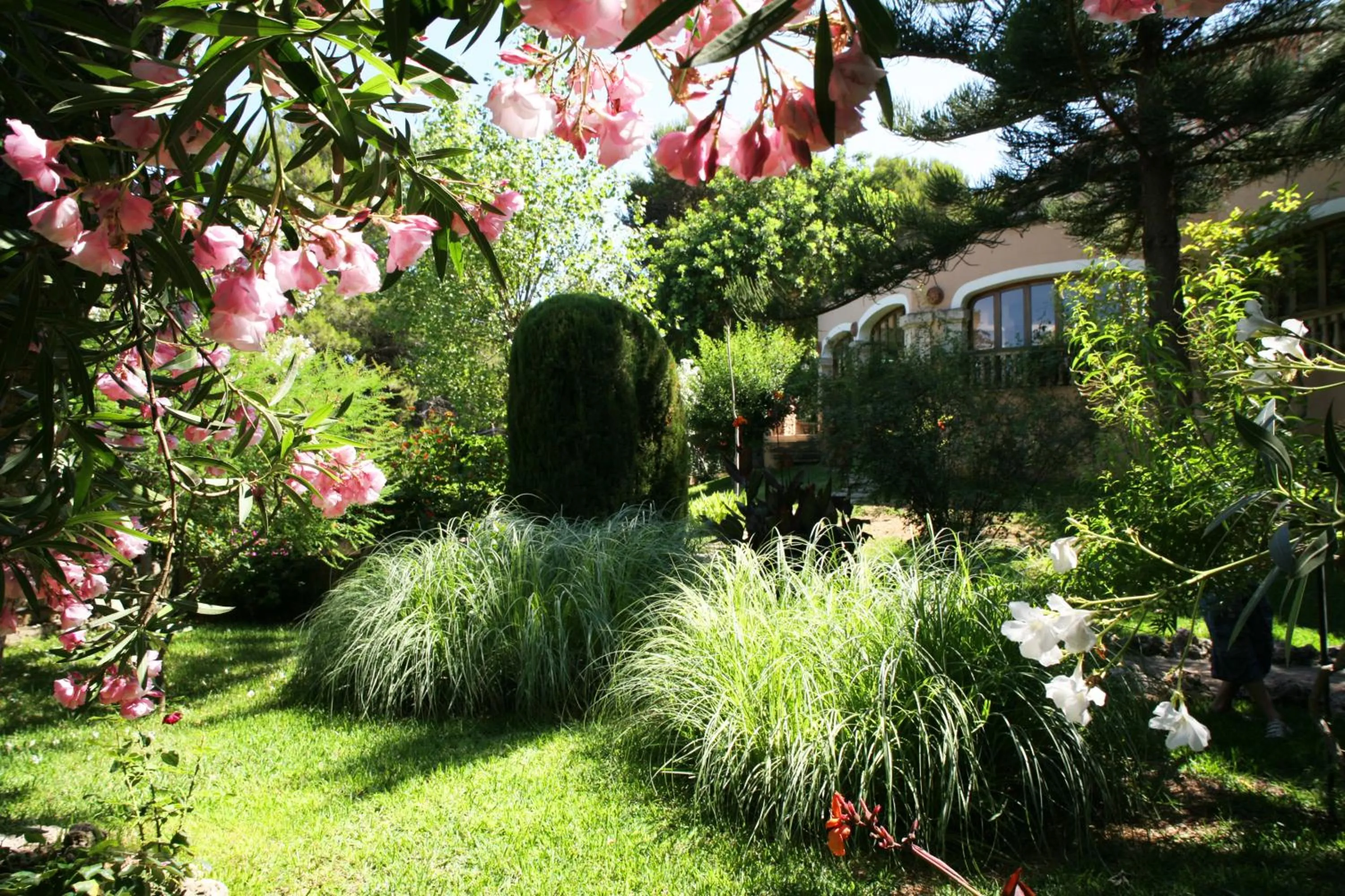 Day in Hotel Na Taconera