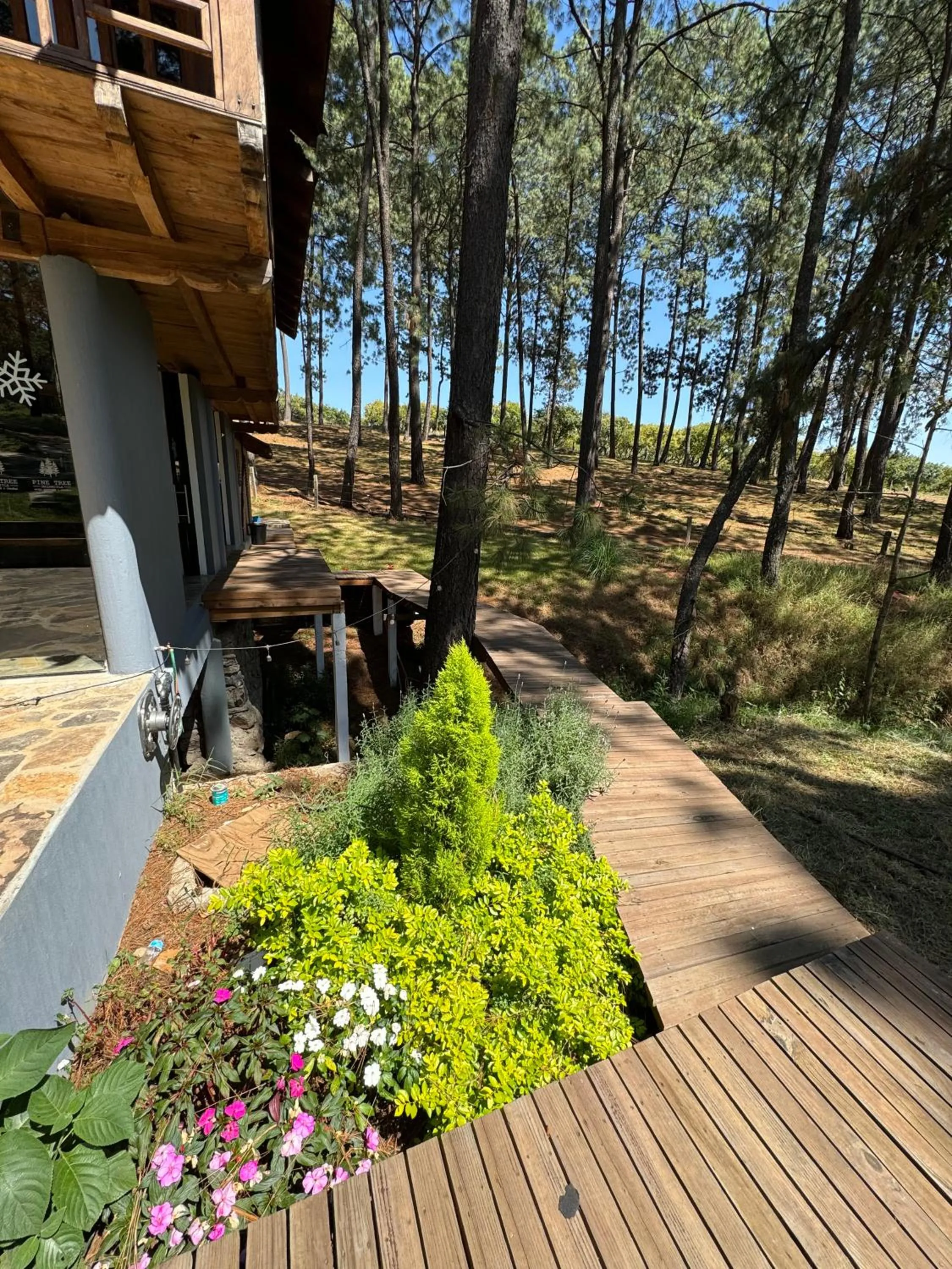 Patio in PINE TREE Mazamitla Hotel Boutique & Cabañas