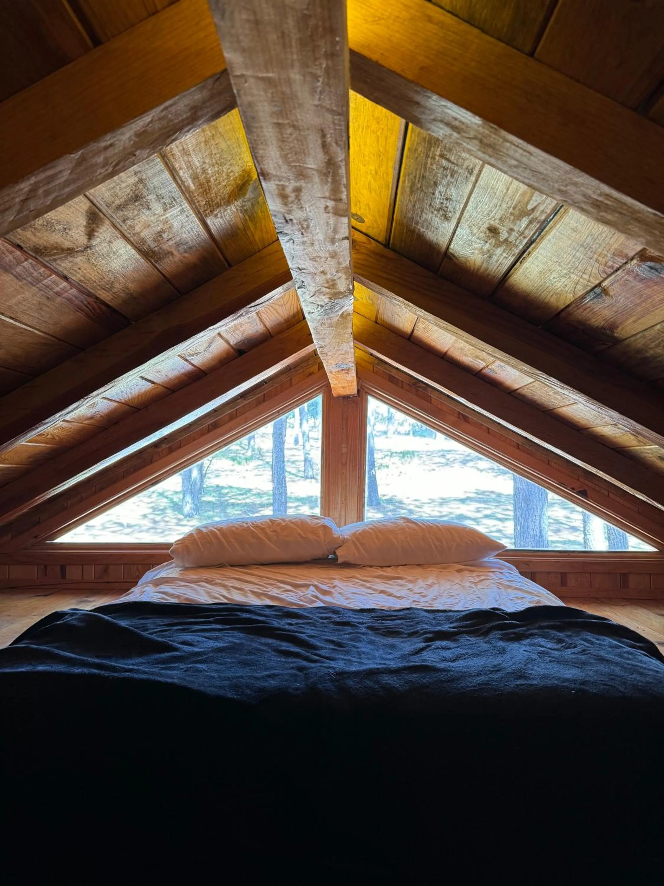 Bed in PINE TREE Mazamitla Hotel Boutique & Cabañas