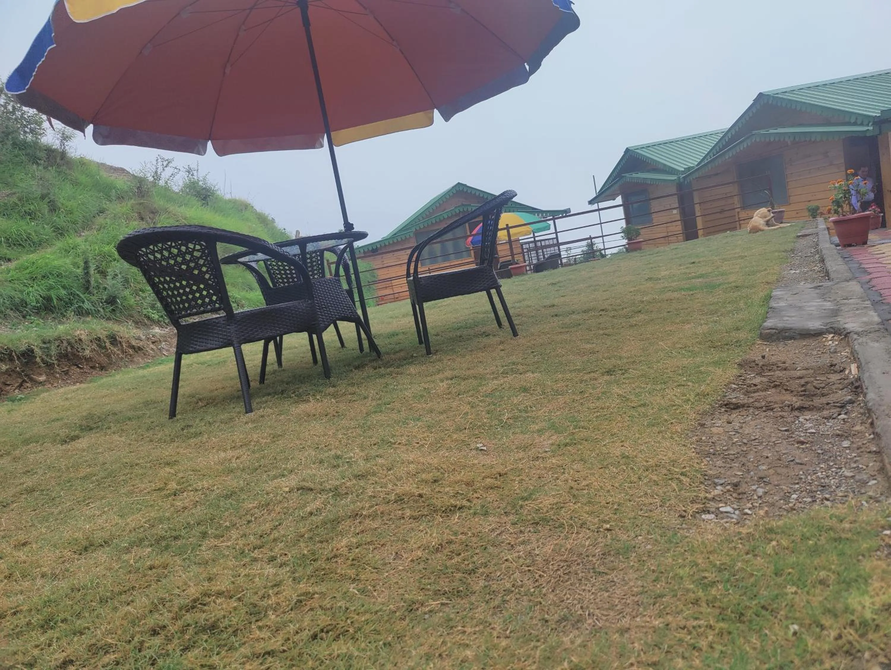 LaSerene The Cottage - Pangoot