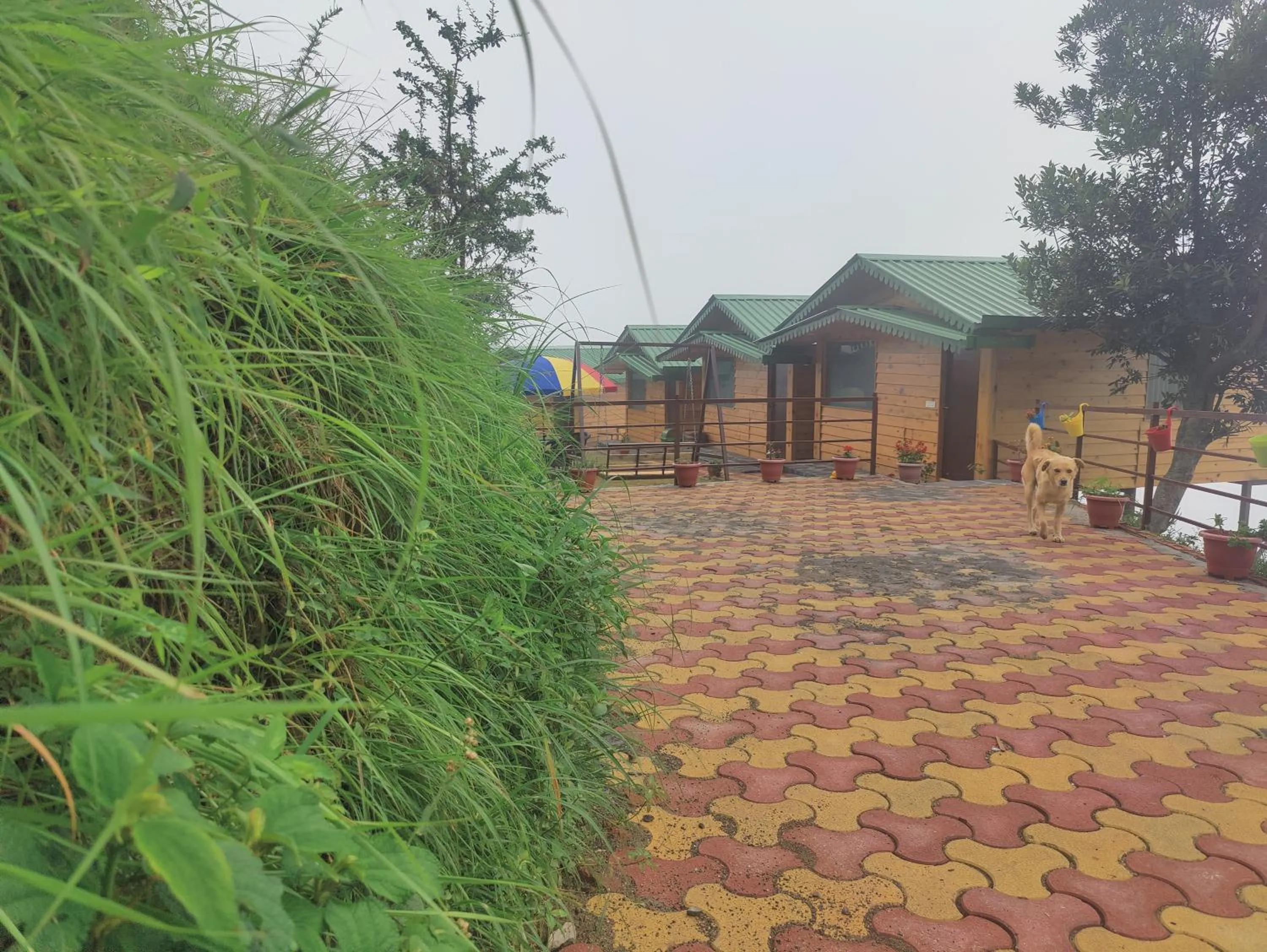 LaSerene The Cottage - Pangoot