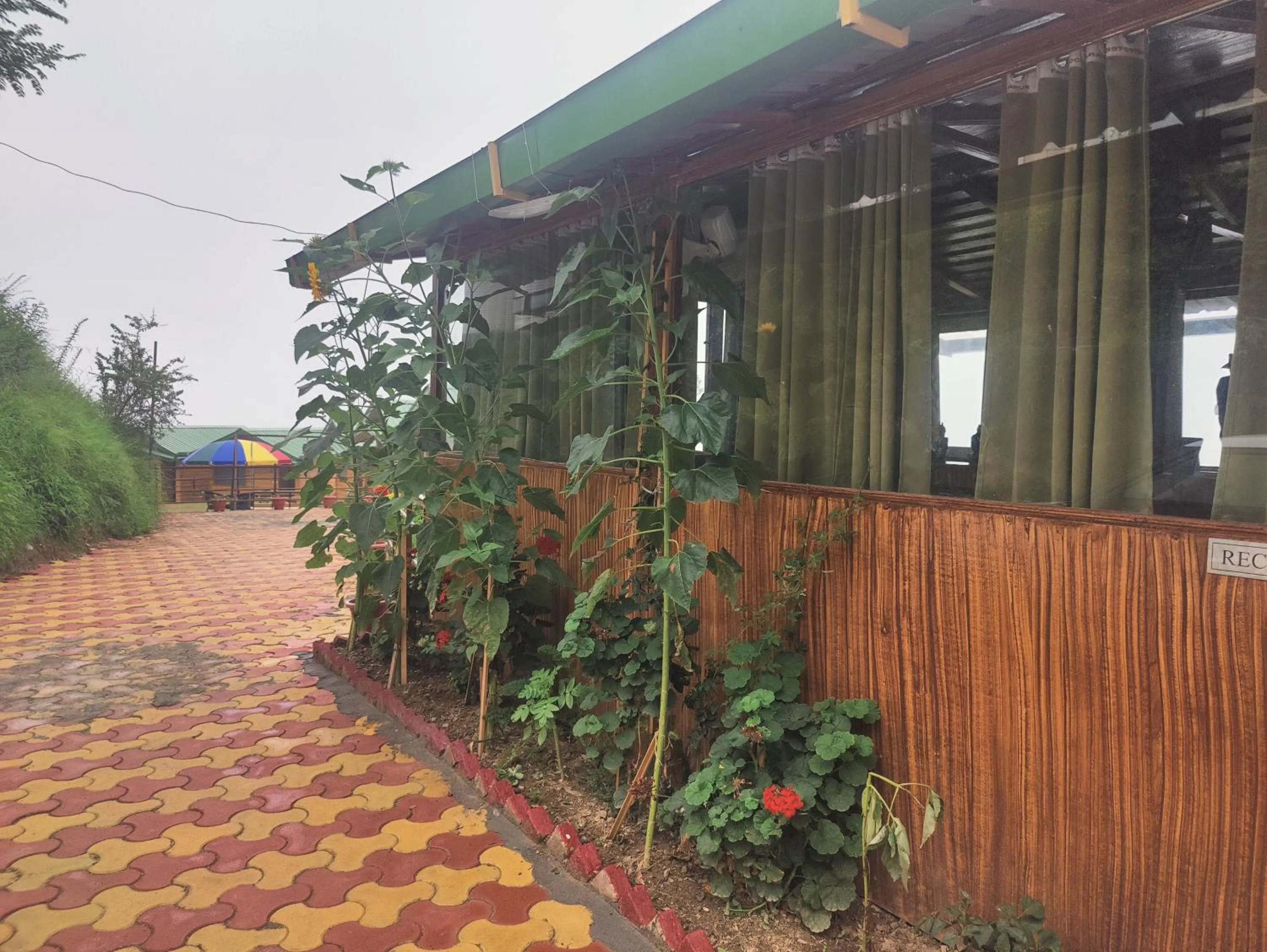 LaSerene The Cottage - Pangoot