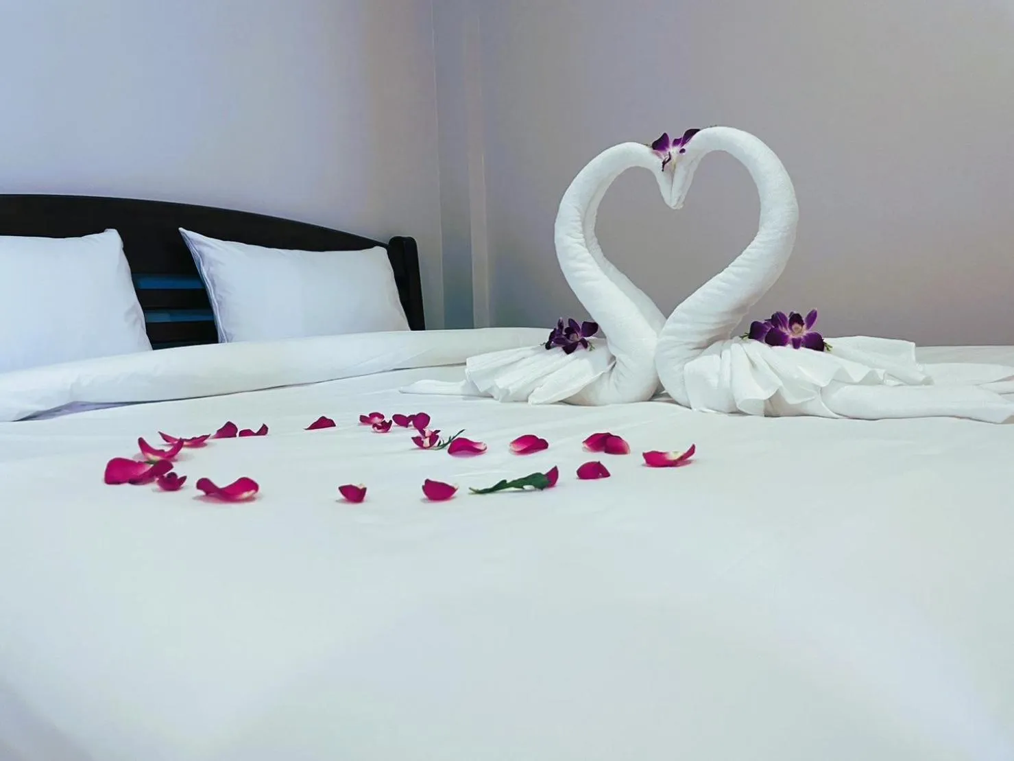 Bed in Terminal 58 Airport