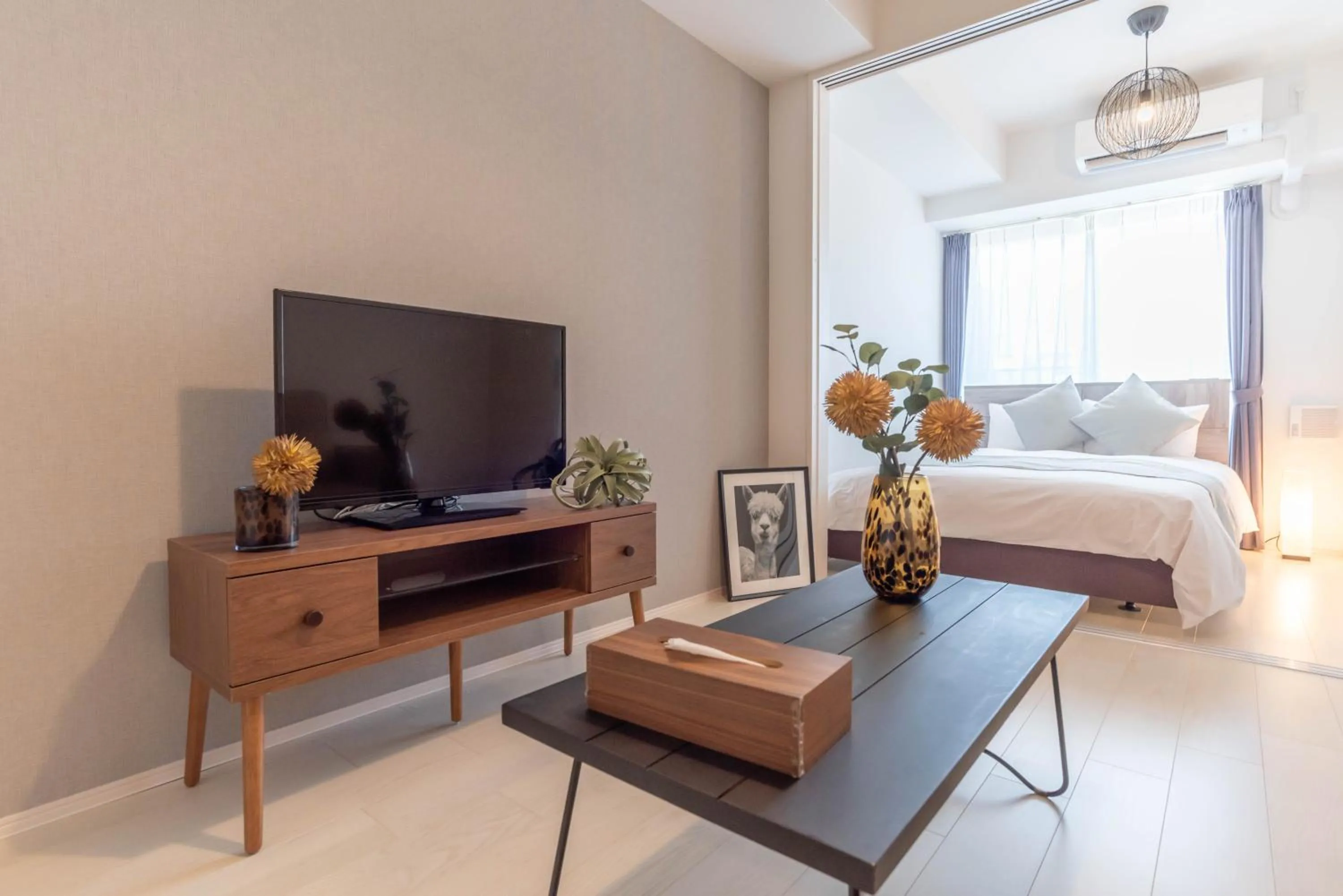 TV and multimedia, Bed in FDS ZEAL